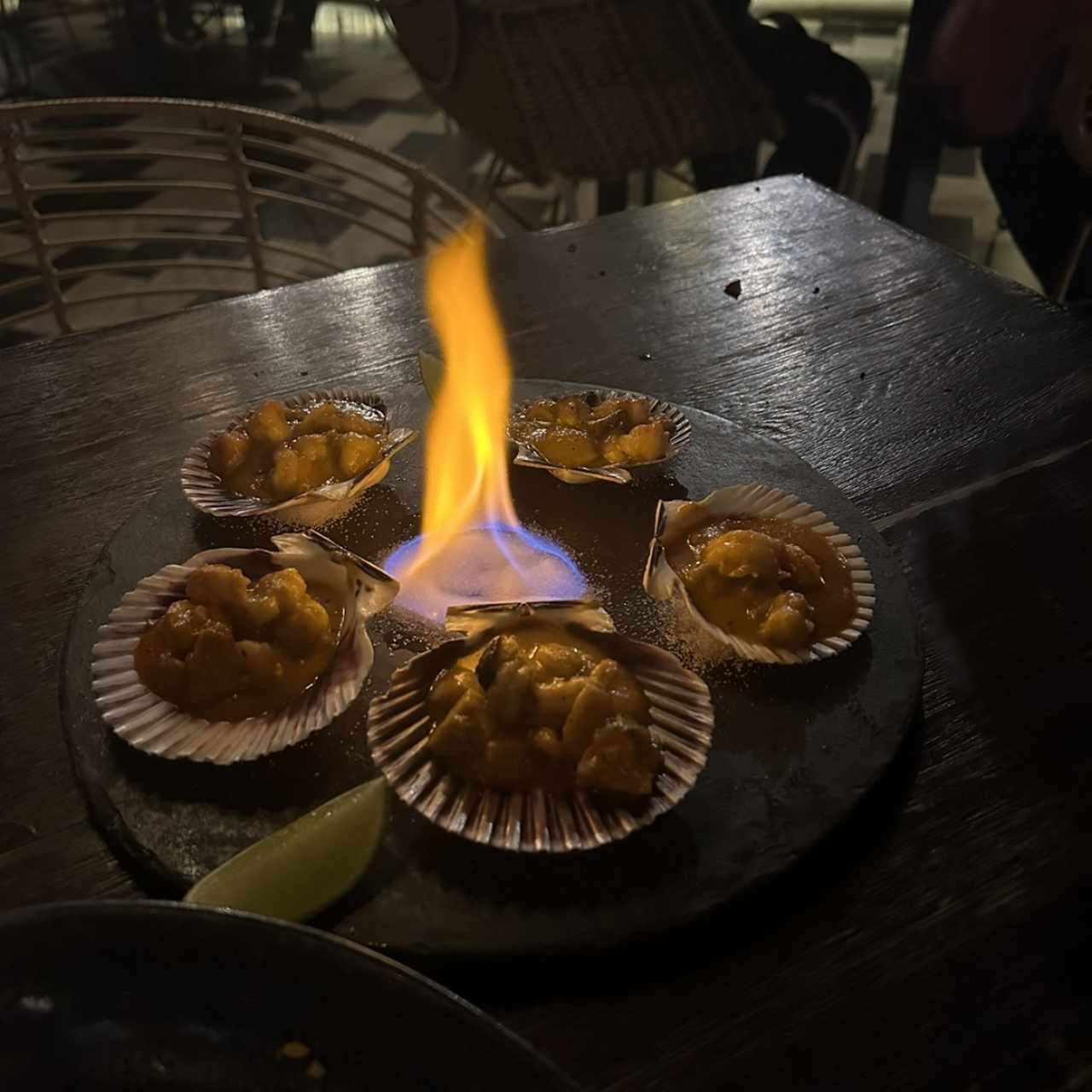 Conchas mixtas