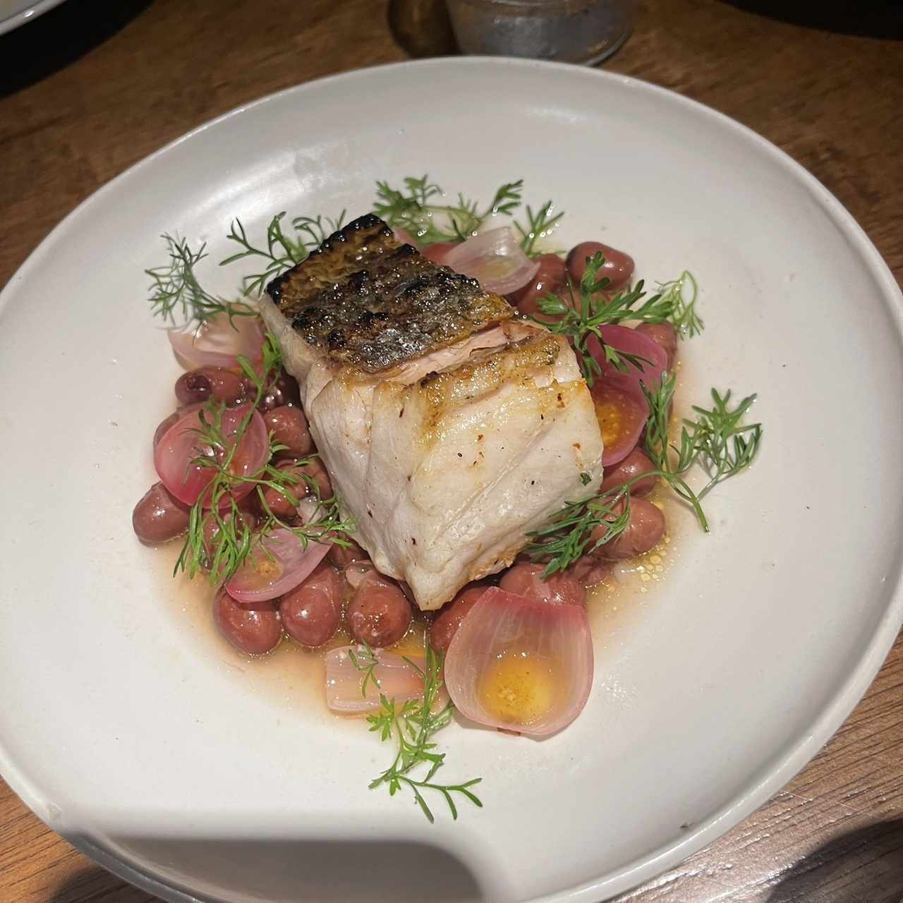 Corvina 