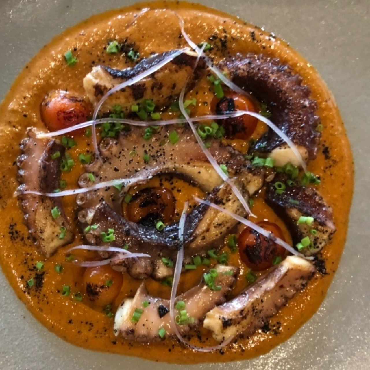Pulpo