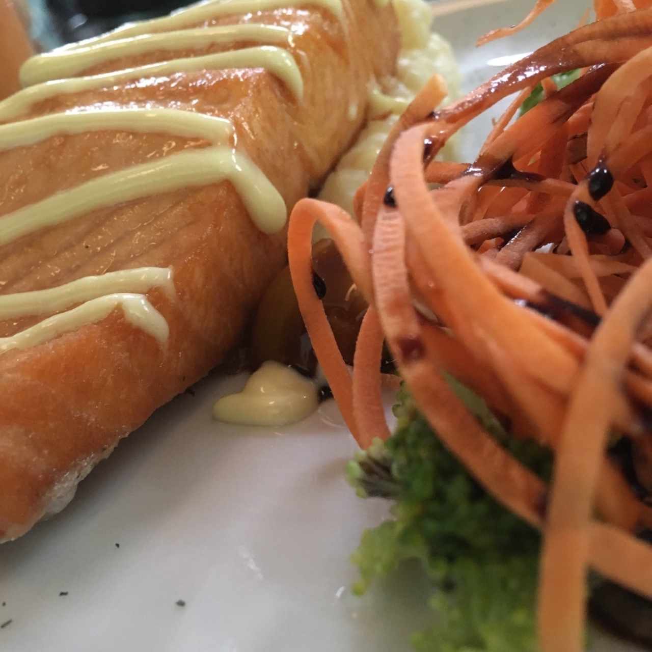 salmon crocante
