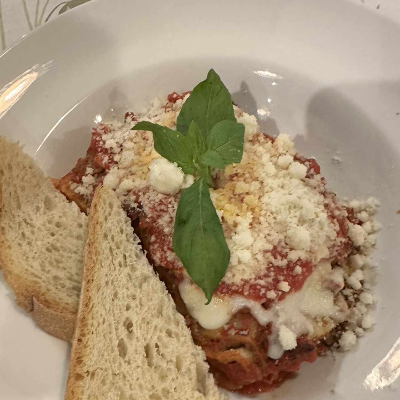 Lasaña a la Boloñesa