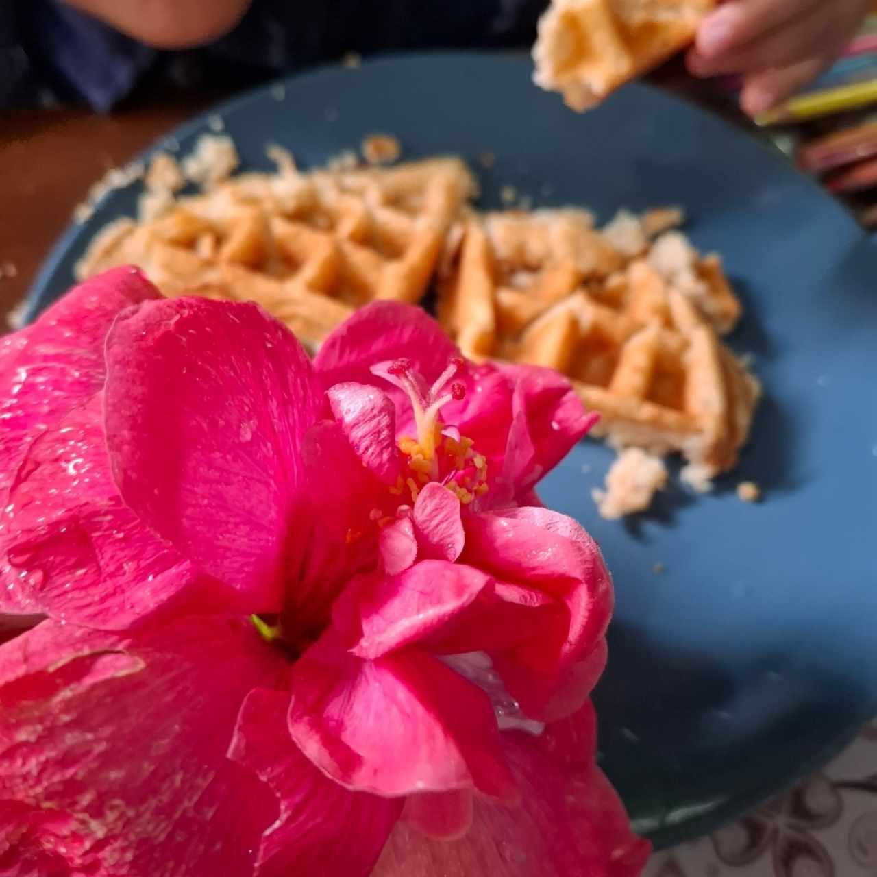 Sweet Things - Waffle