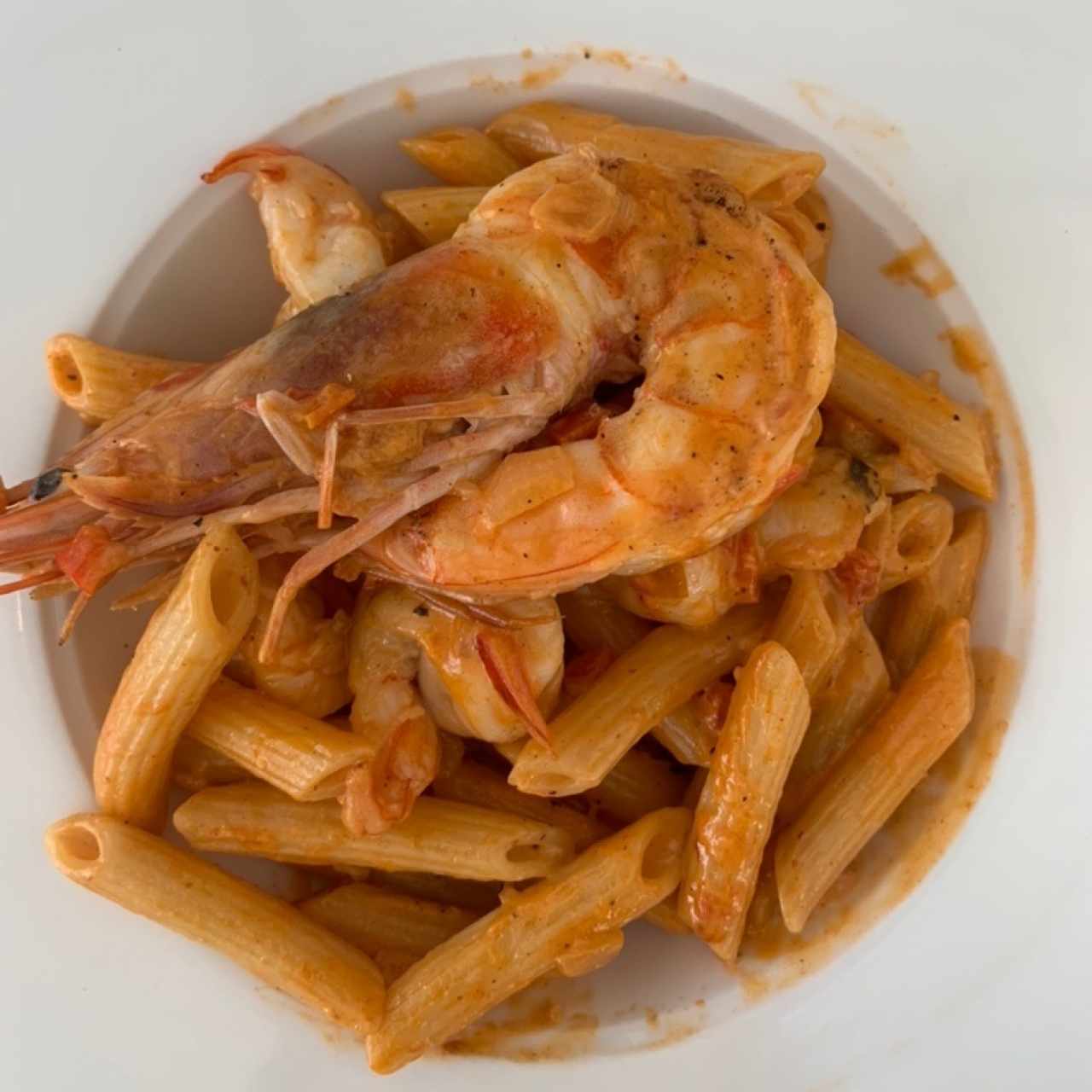 pasta corta con camarones 