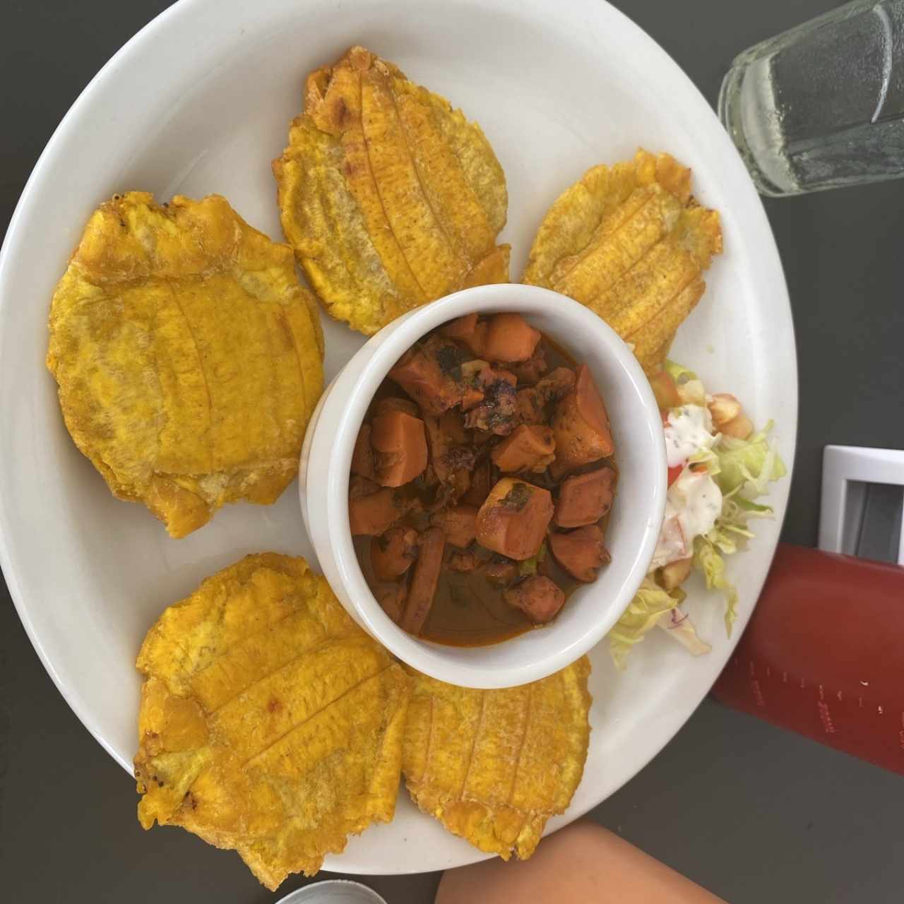 PULPO COSTEÑO