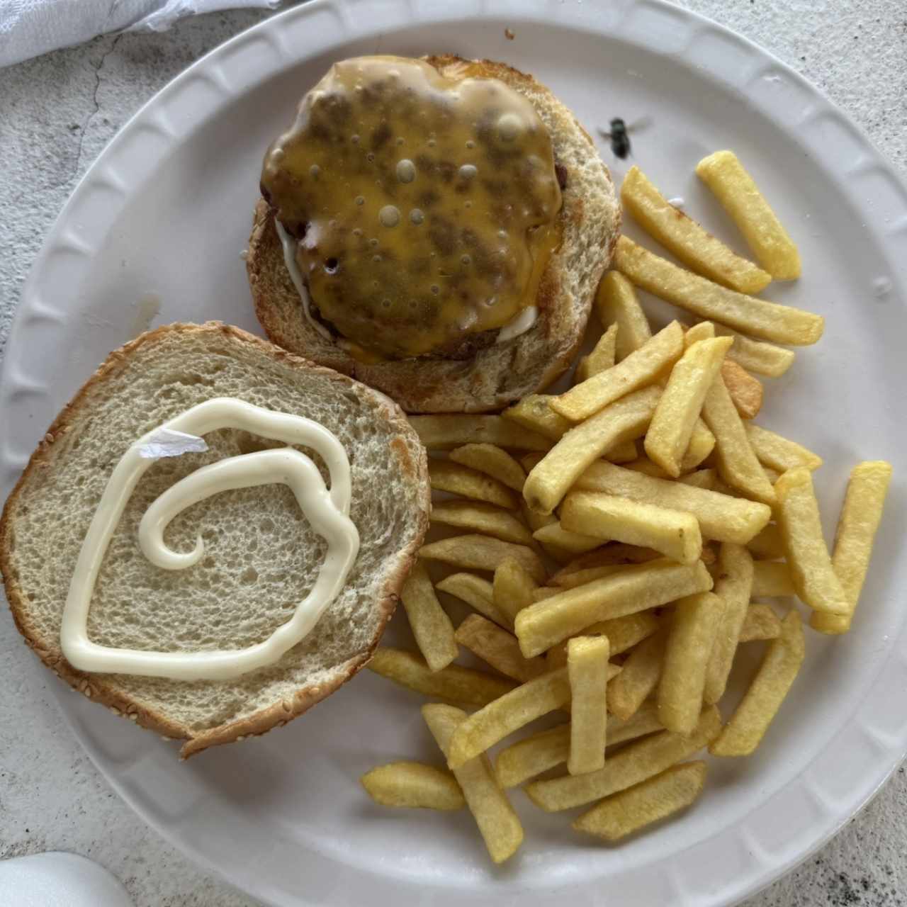 QUESO HAMBURGUESA C/ PAPAS FRITAS