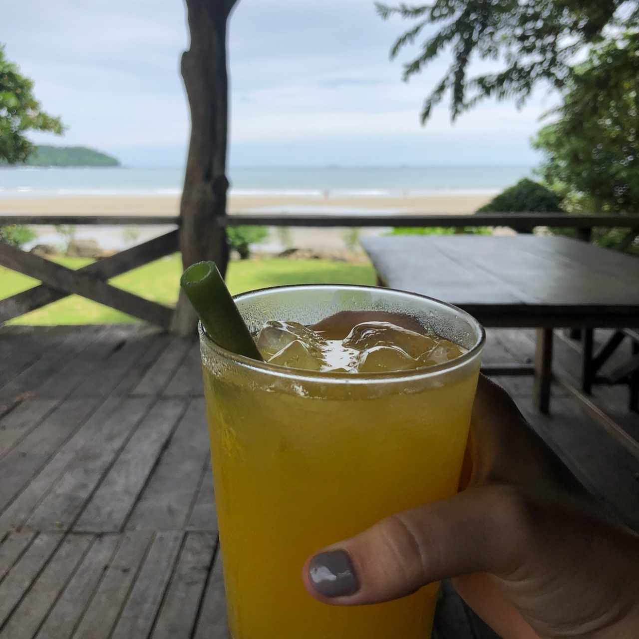 jugo de maracuya con carrizo de tallo de papaya