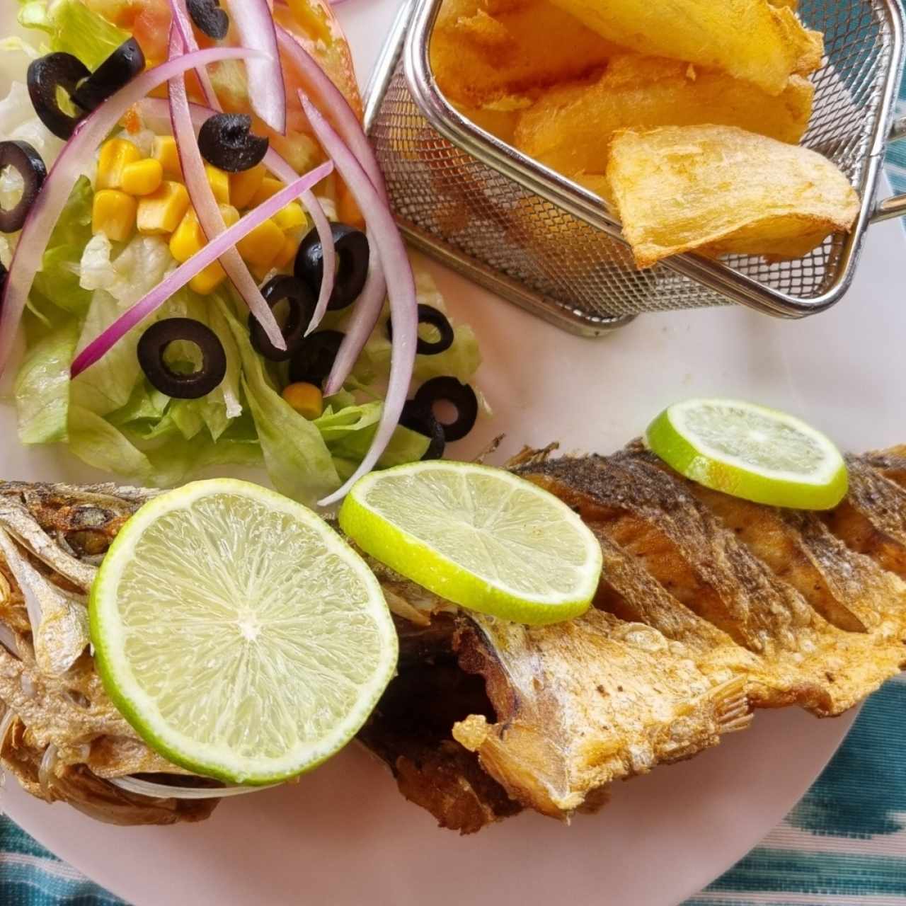 PESCA DEL DÍA