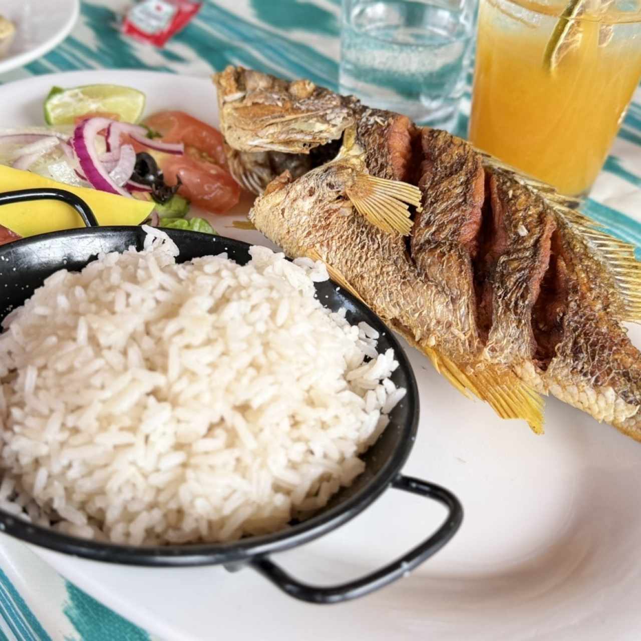 PESCA DEL DÍA