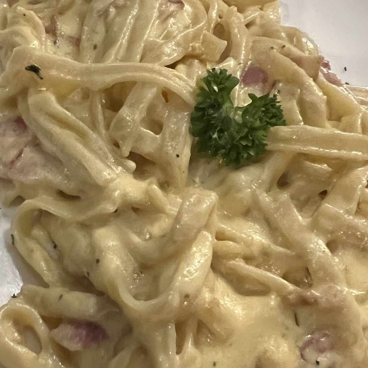 Pastas - TAGLIATELLI CARBONARA