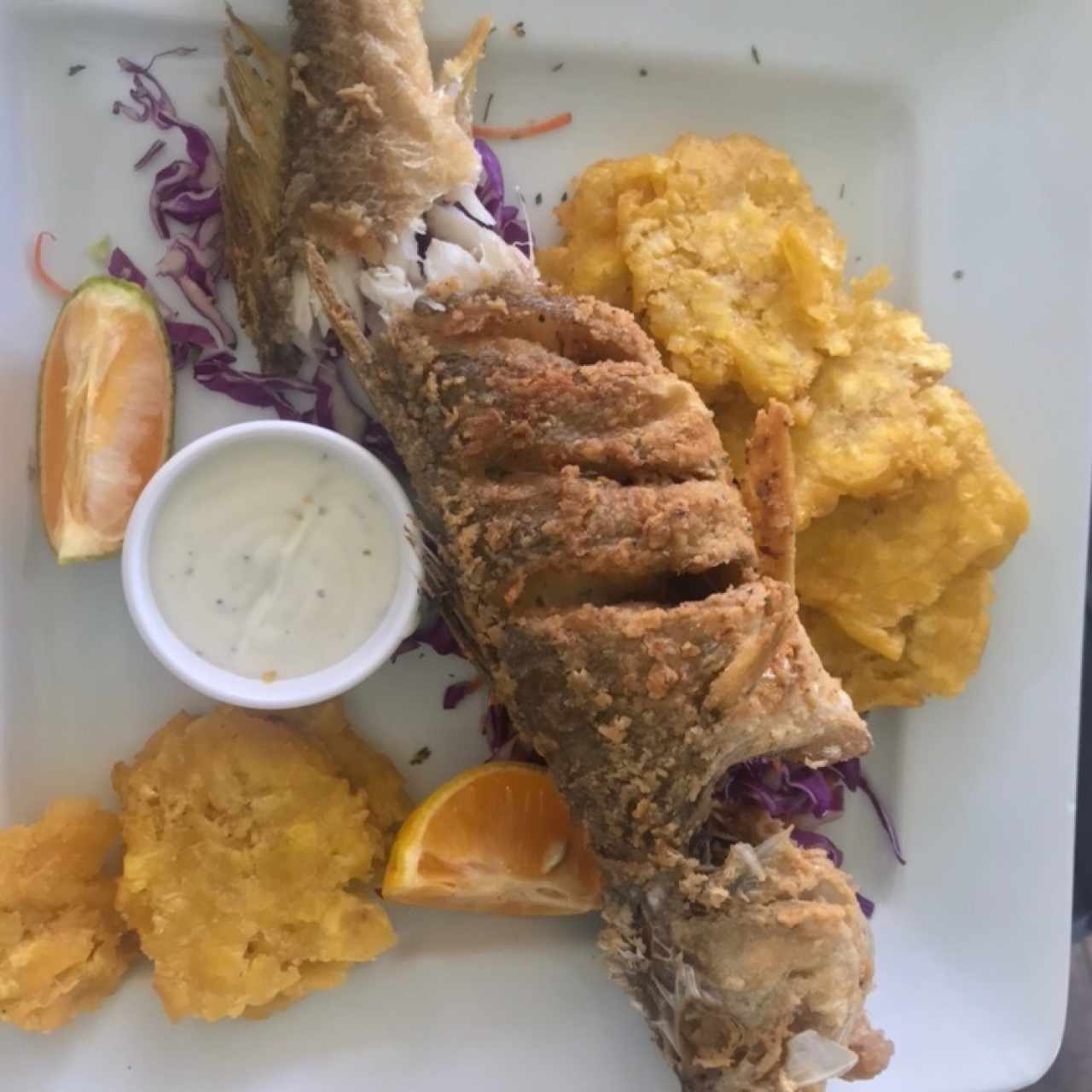 Pesca del día