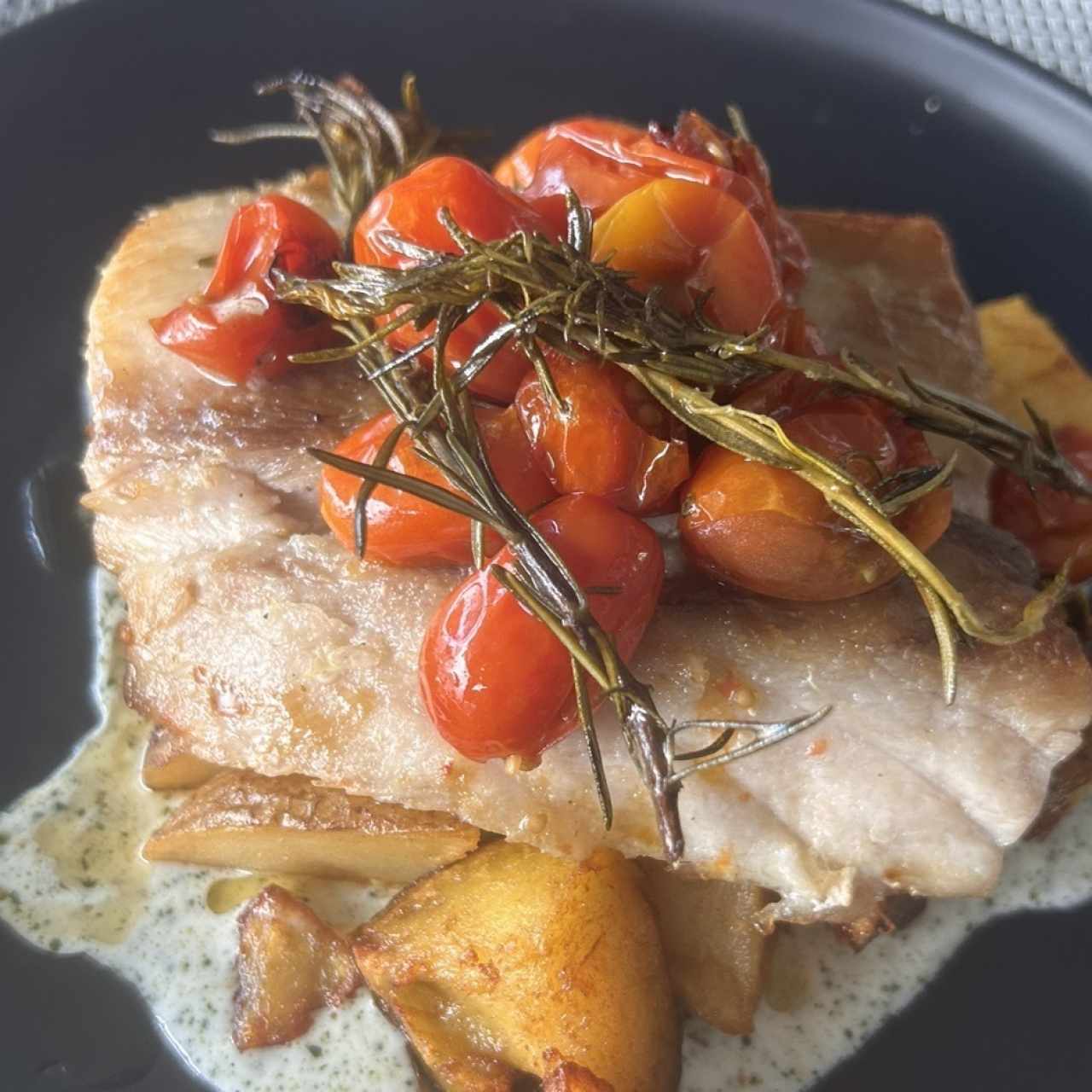 Corvina paradise