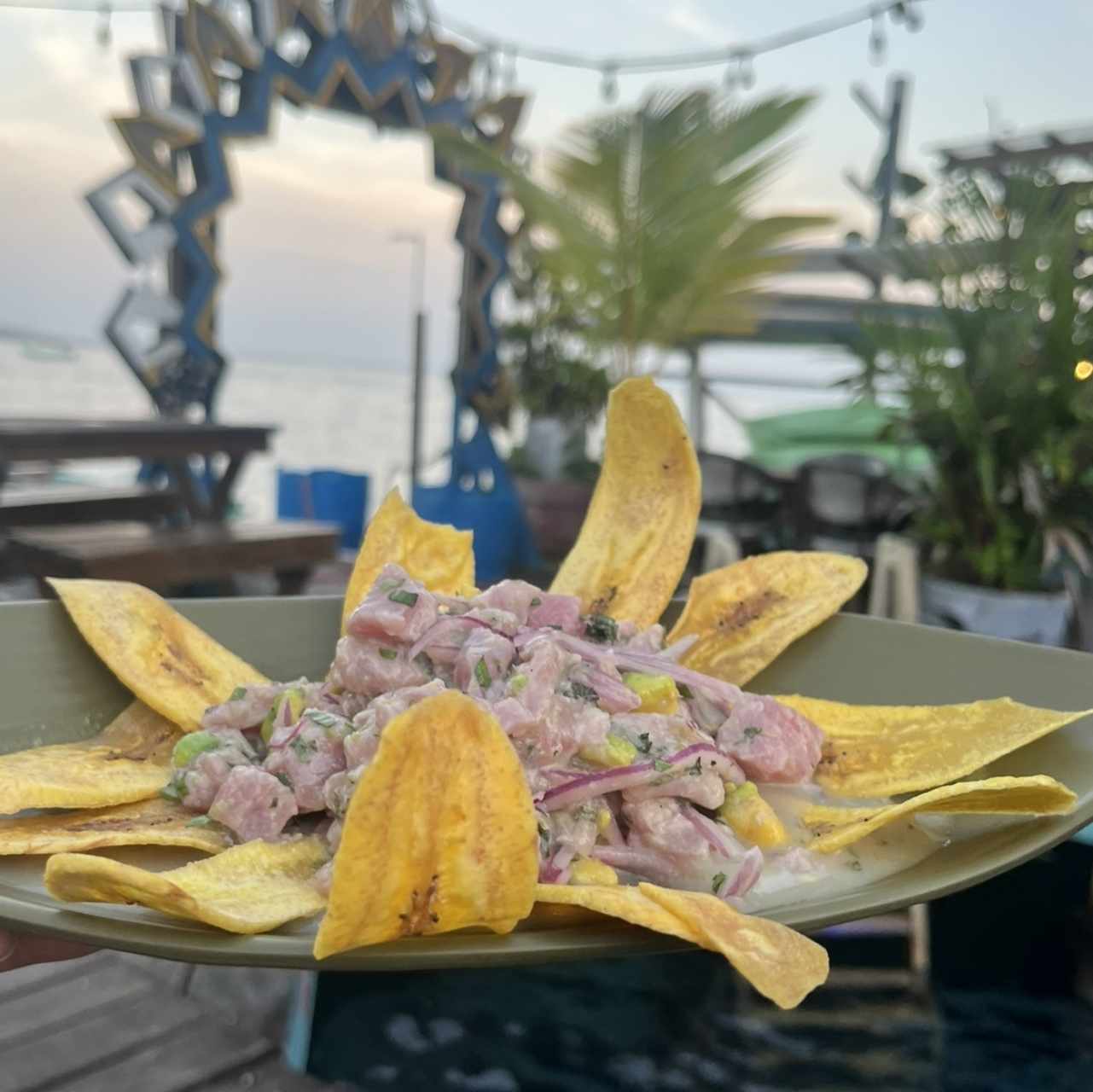 Ginger & coconut ceviche