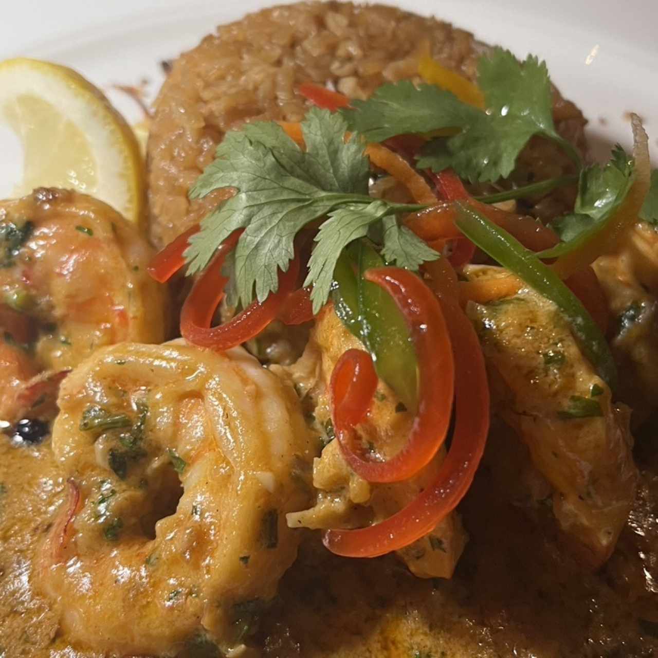 Langostinos Bocatoreño 