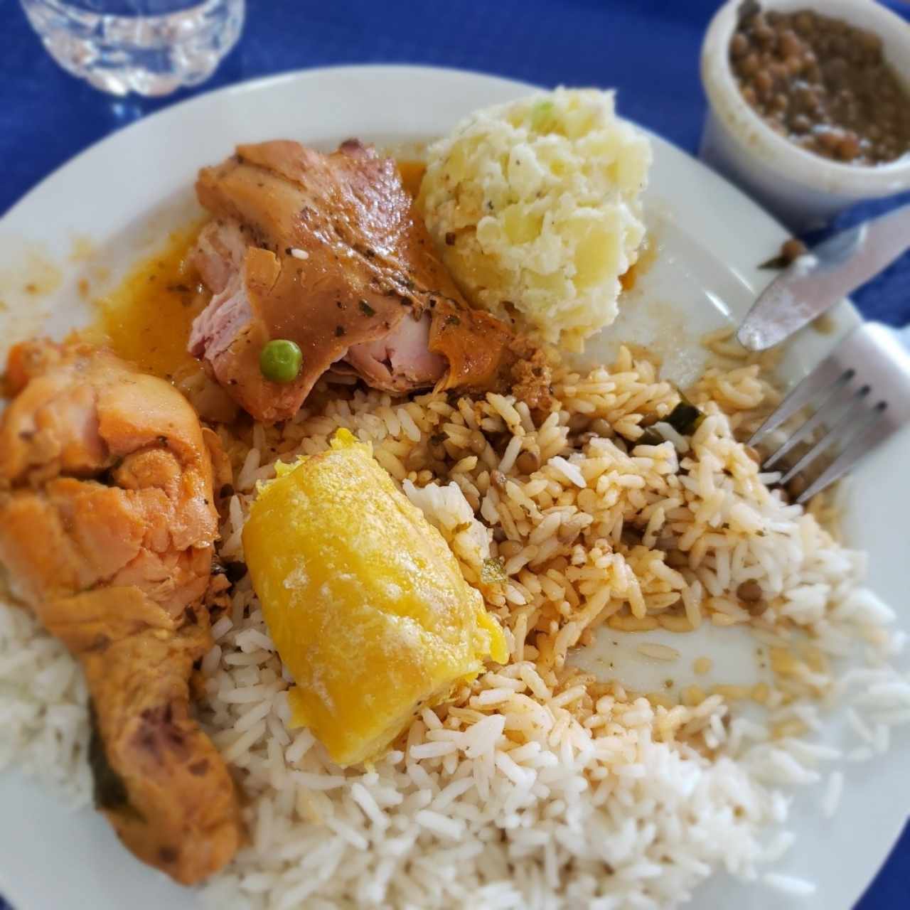 comida con pollo guisado