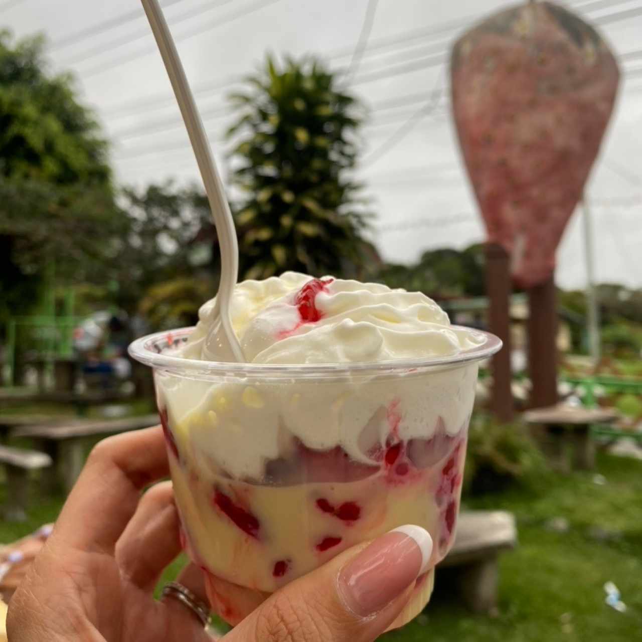 Fresas con leche condensada