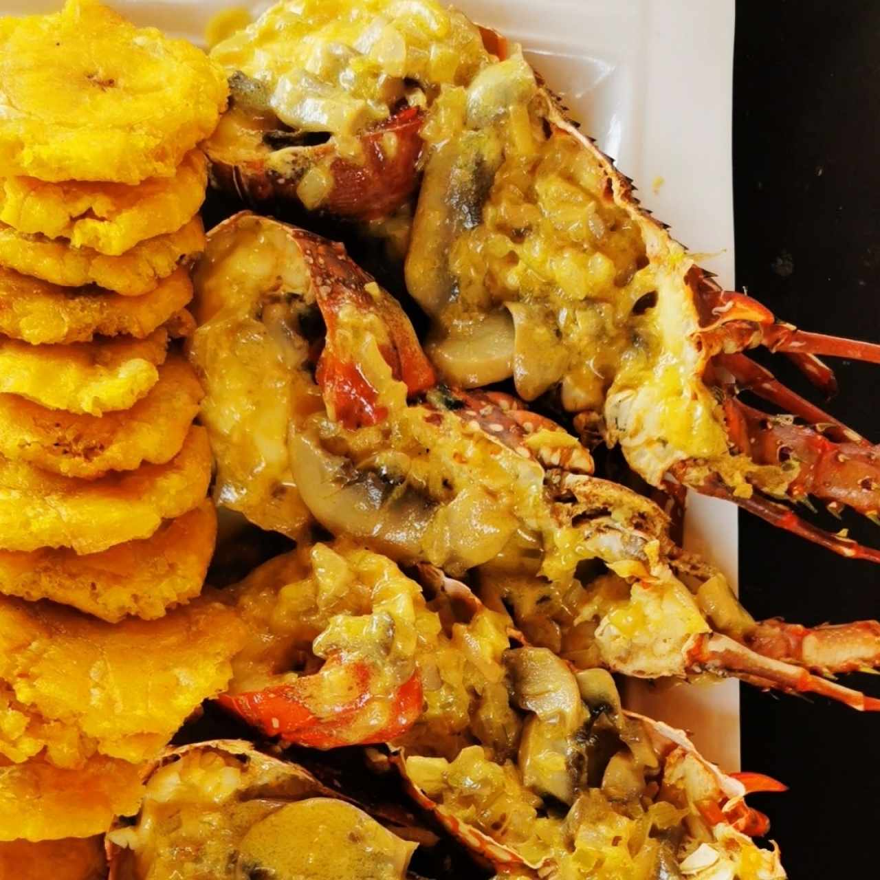 Langosta con salsa blanca y hongos 