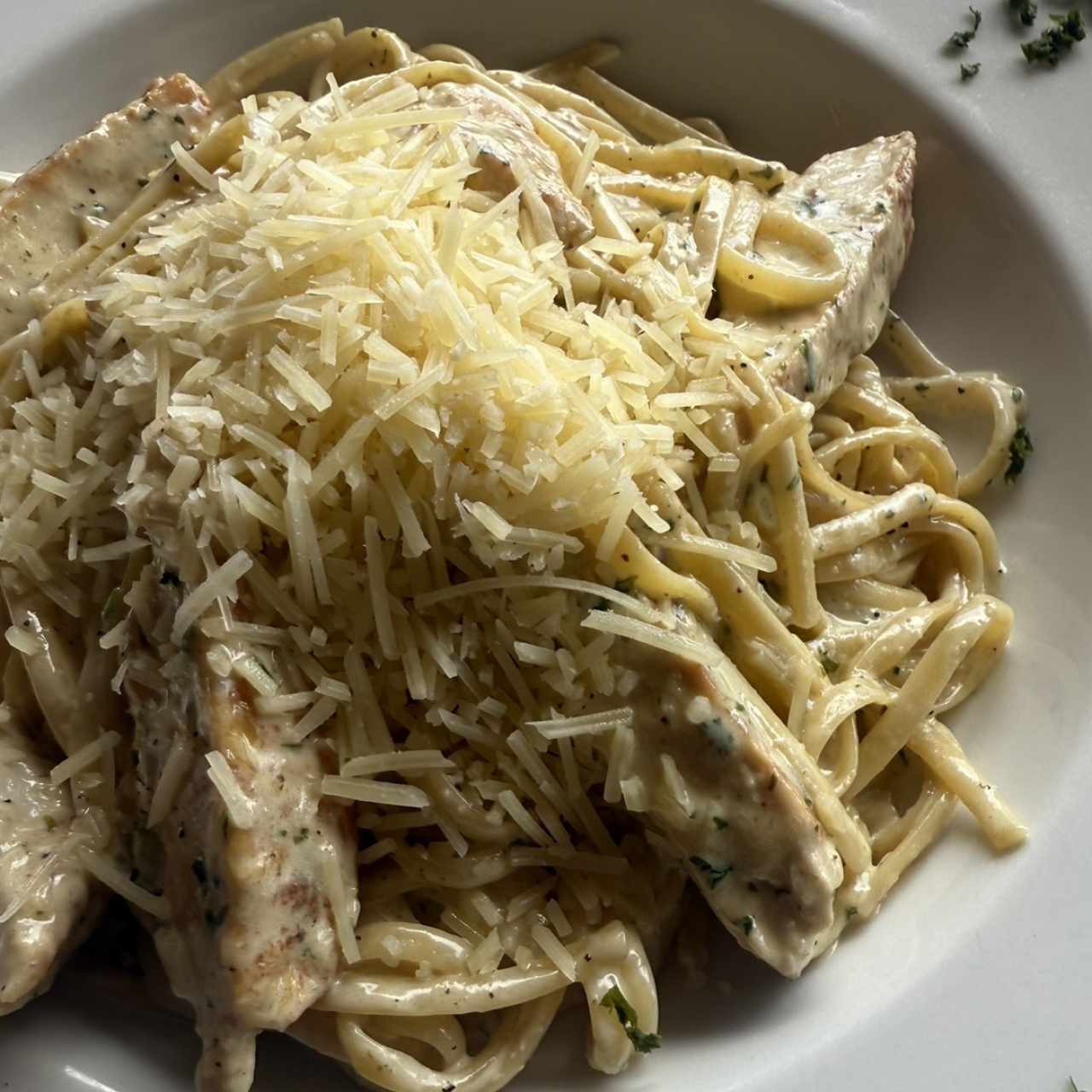 Spaghetti Alfredo con Pollo