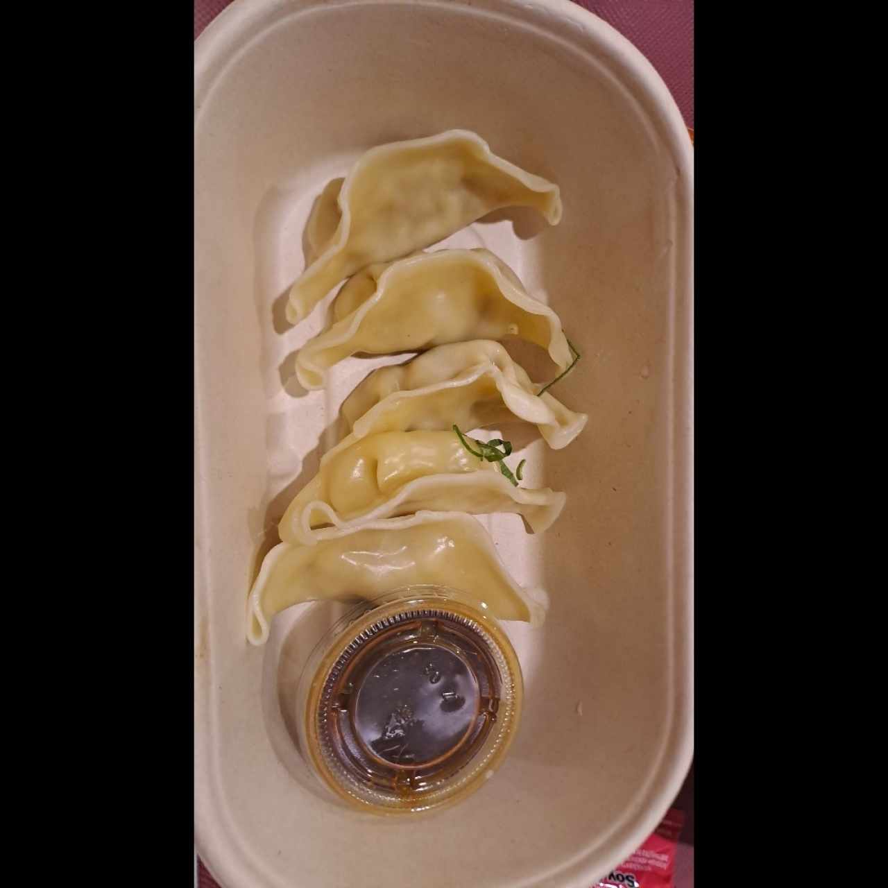 Gyozas de Cerdo (5 unidades)