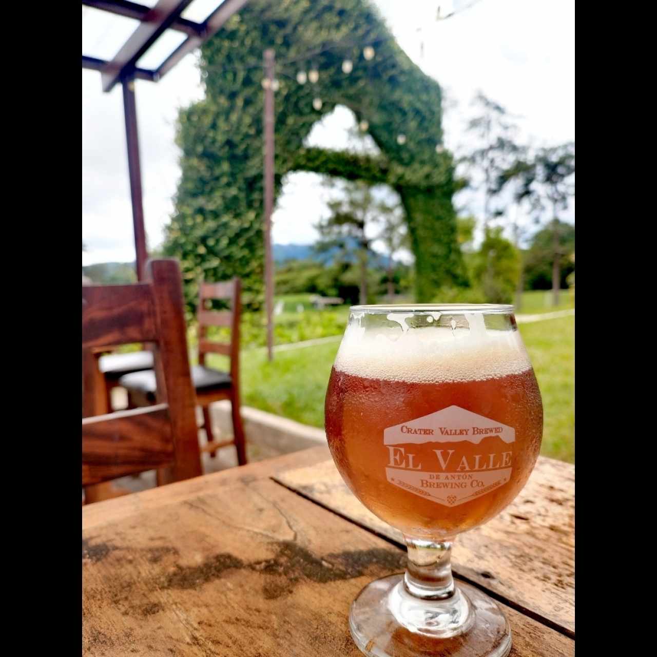 IPA 