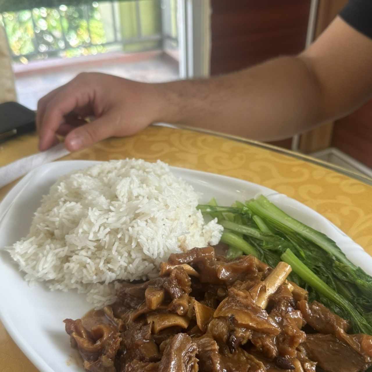 Falda de carne y arroz de jazmin