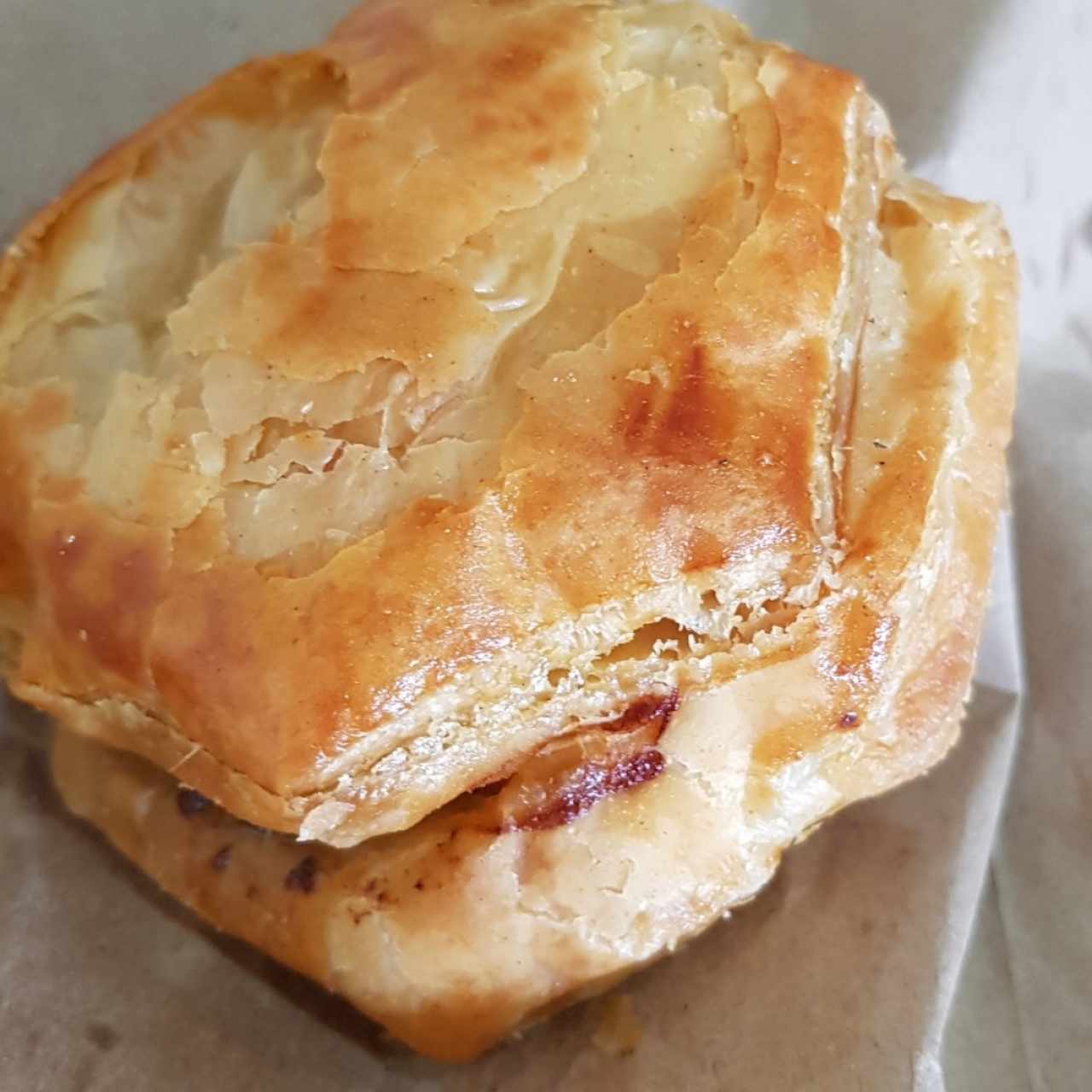 pastelito de carne