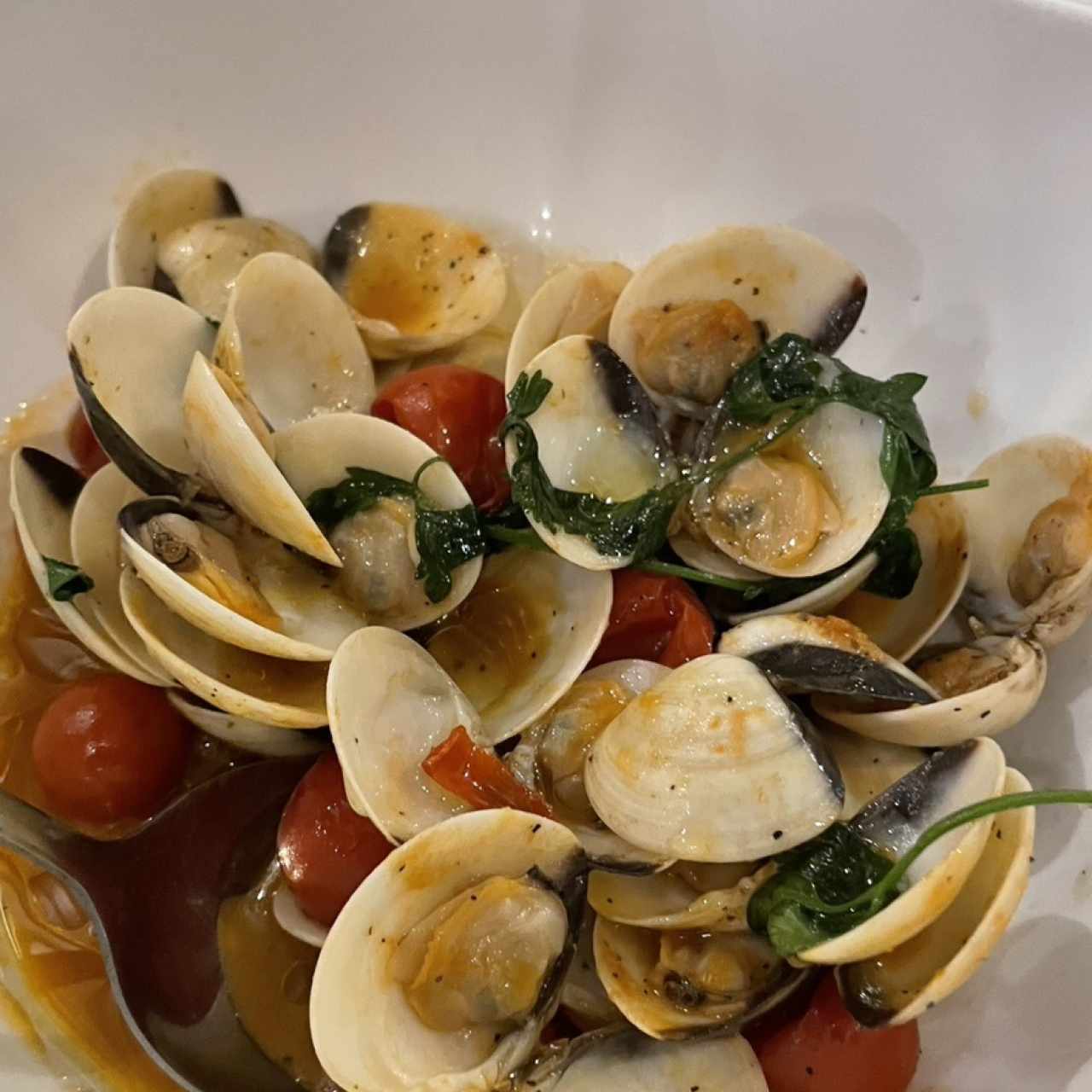 ALMEJAS AL ESTILO ITALIANO