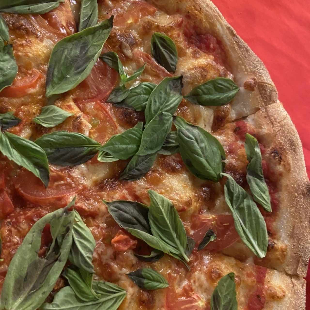 Pizza capresse
