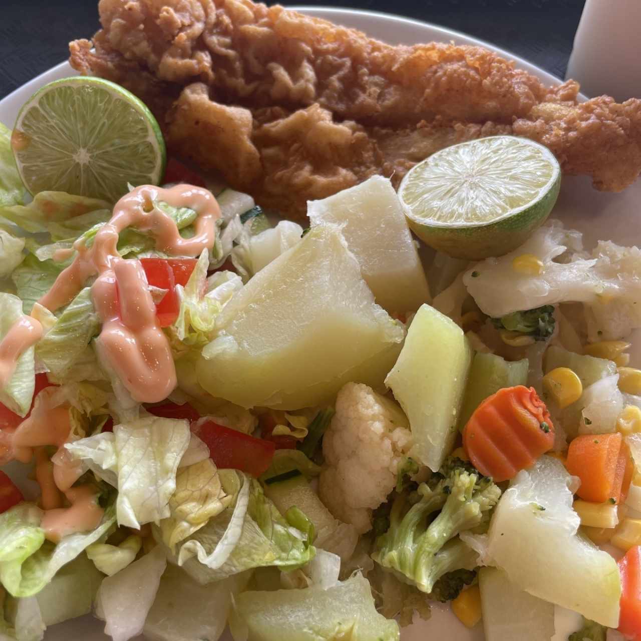 Filete de pescado con vegetales y ensalada