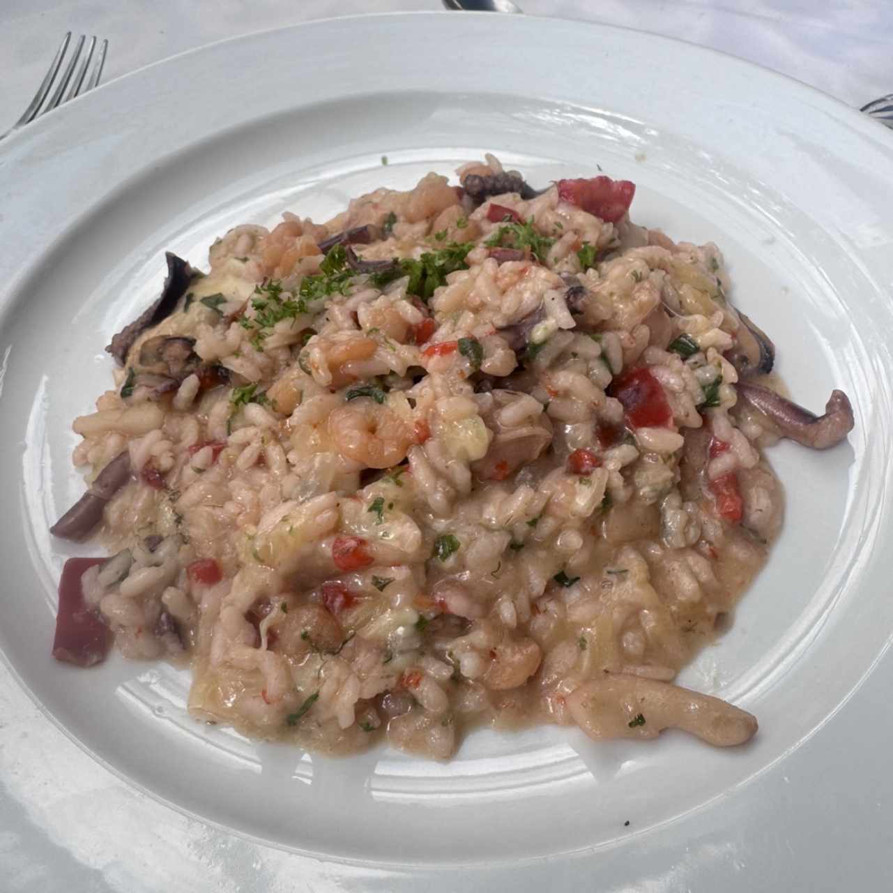 Risotto de mariscos