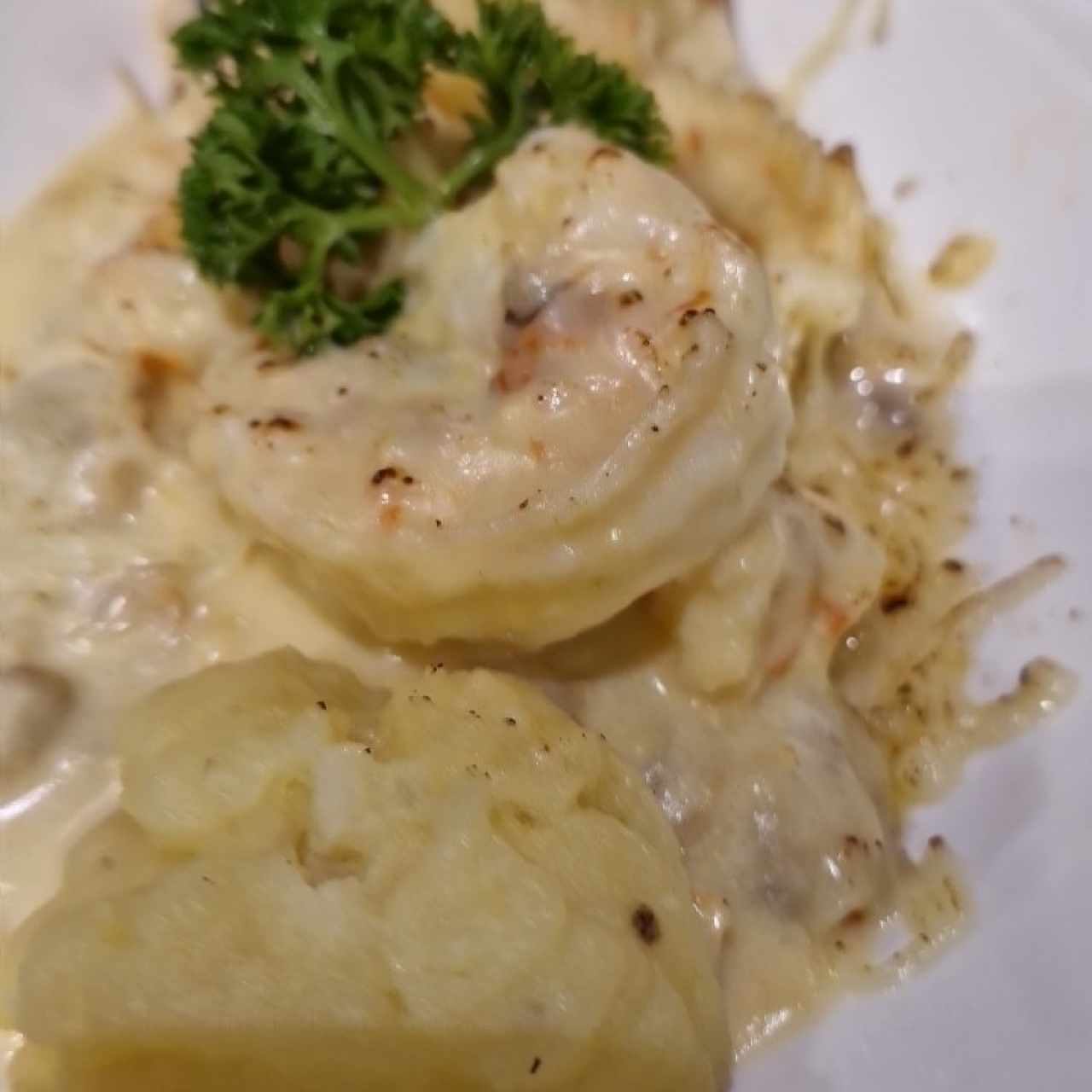 Corvina Delicias del Chef