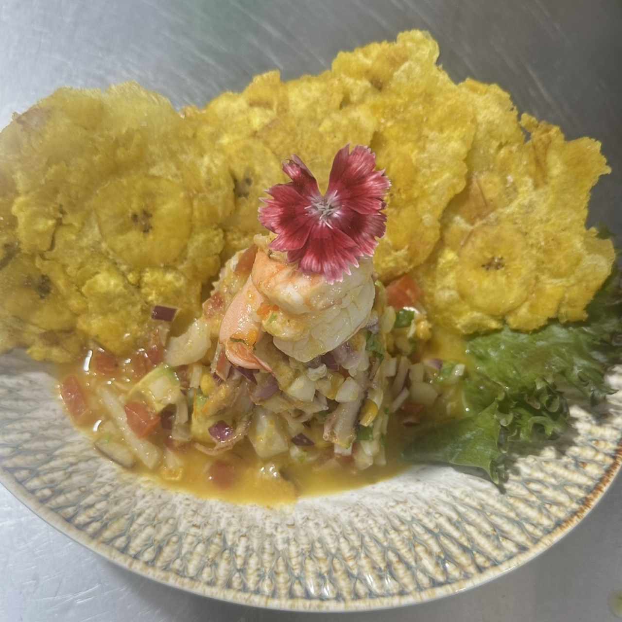 Ceviche volcán Barú 