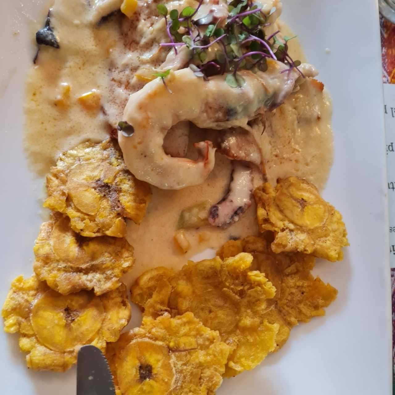 corvina del chef