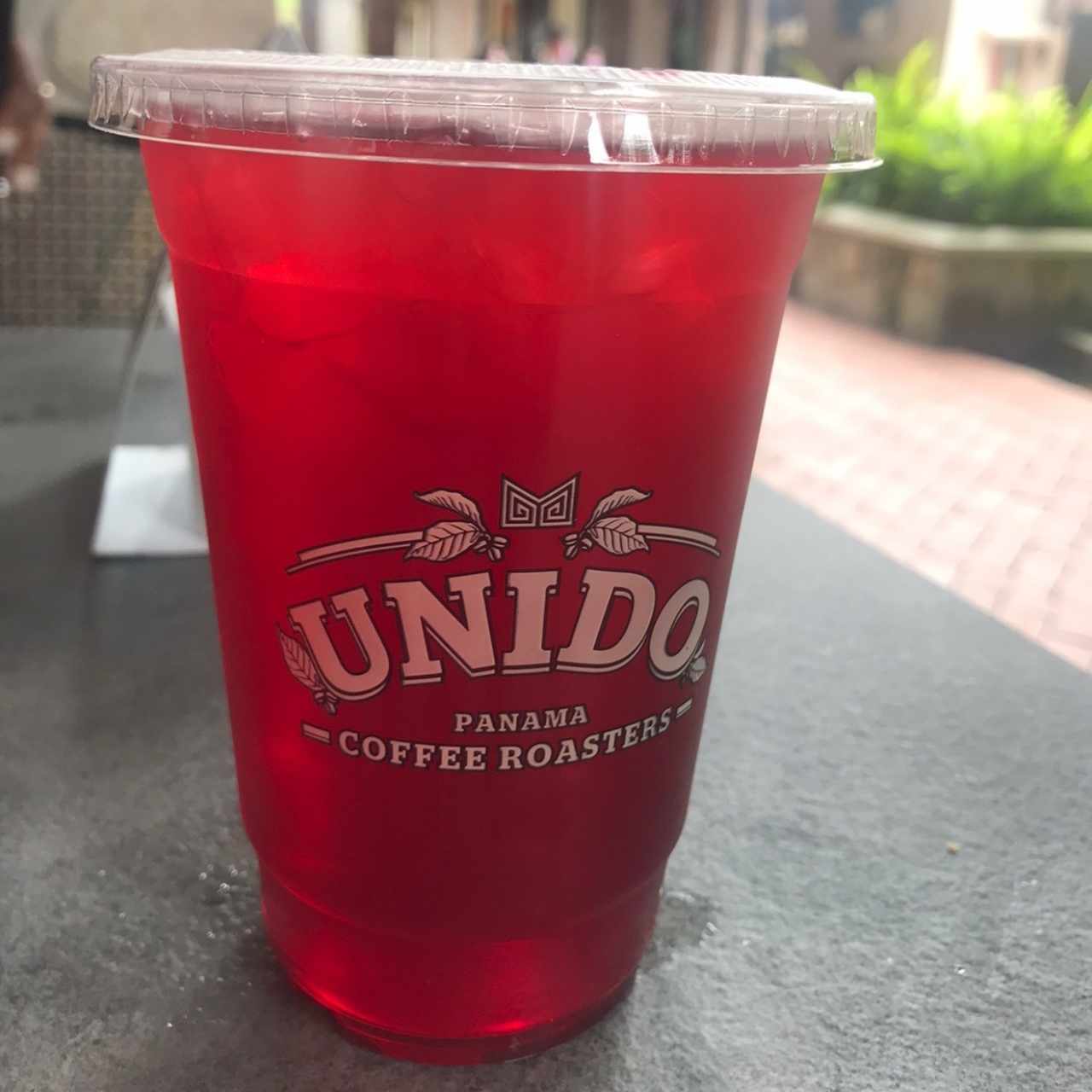 Infusión de Cranberry 