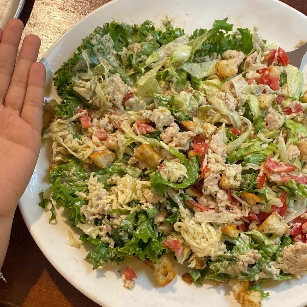 Ensalada cesar con pollo, SUPER GRANDE y relación precio/tamaño justo