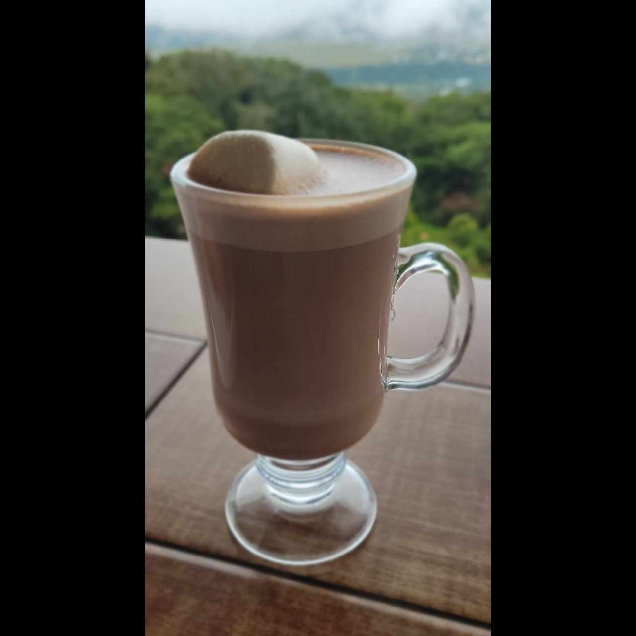 chocolate con malva