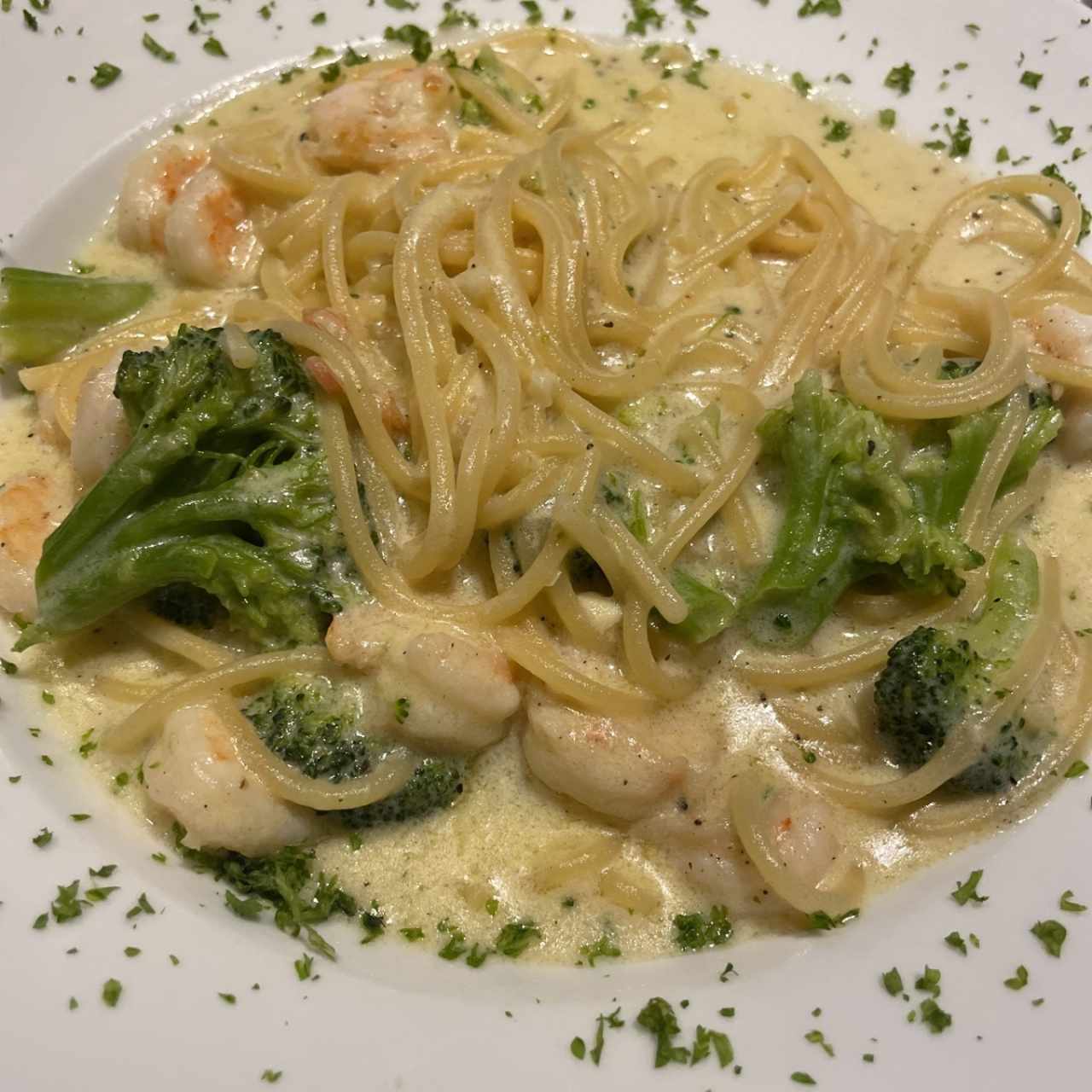 Pasta con camarones y broccoli en salsa blanca 