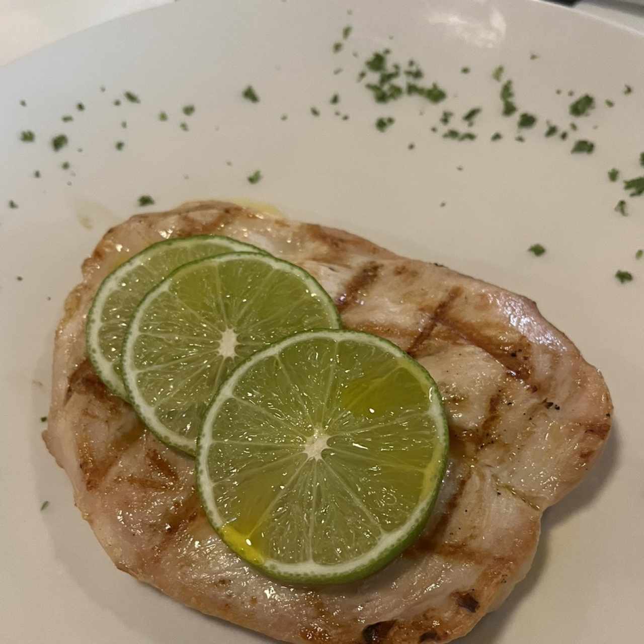 Pollo
