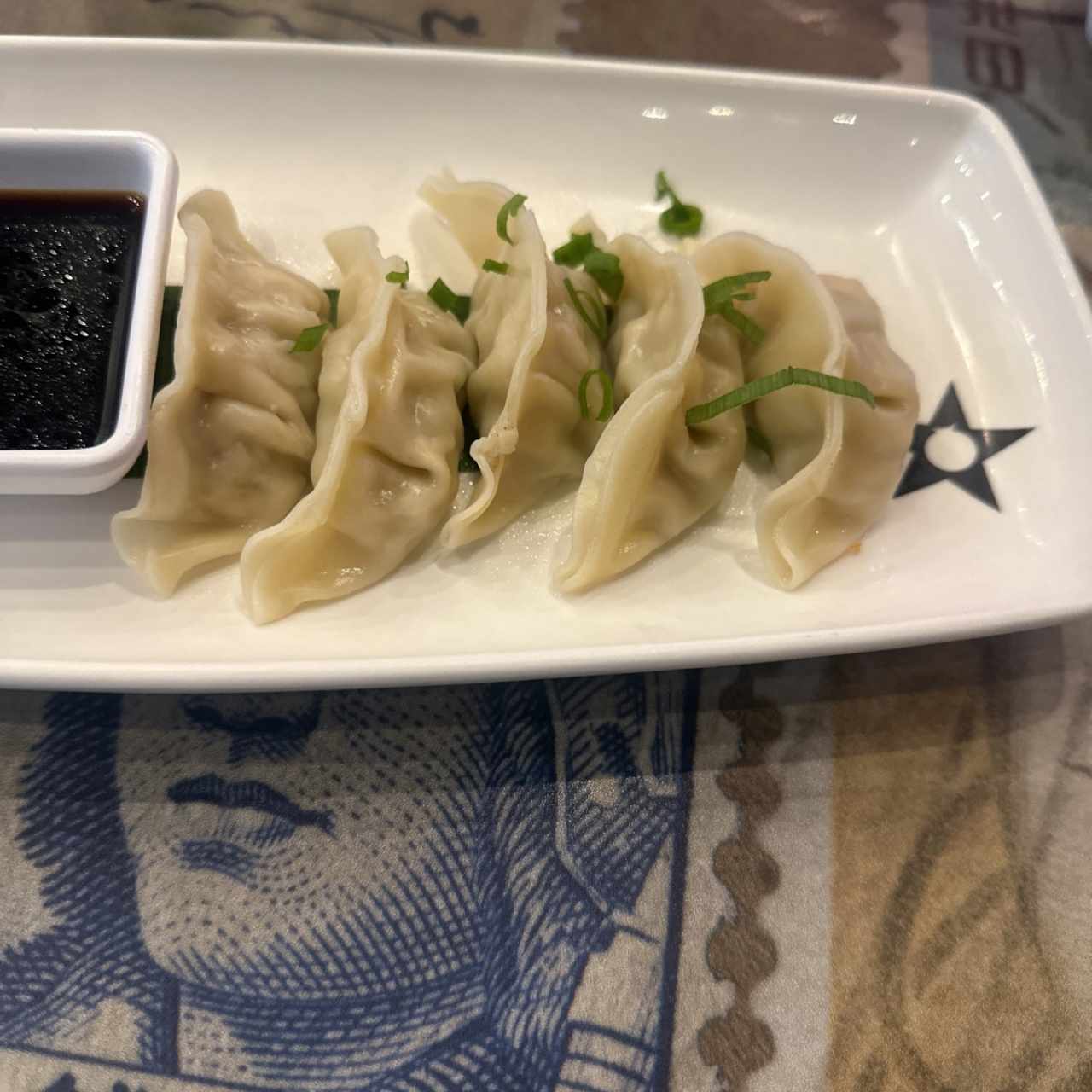 Tentadoras Entradas - Gyozas de Cerdo