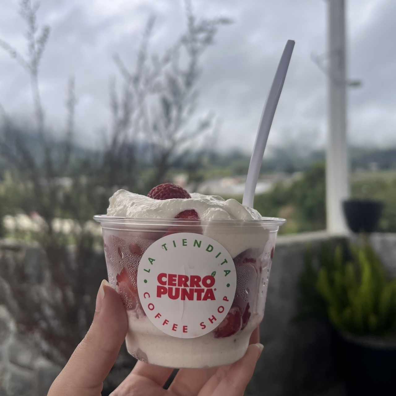Fresas con crema