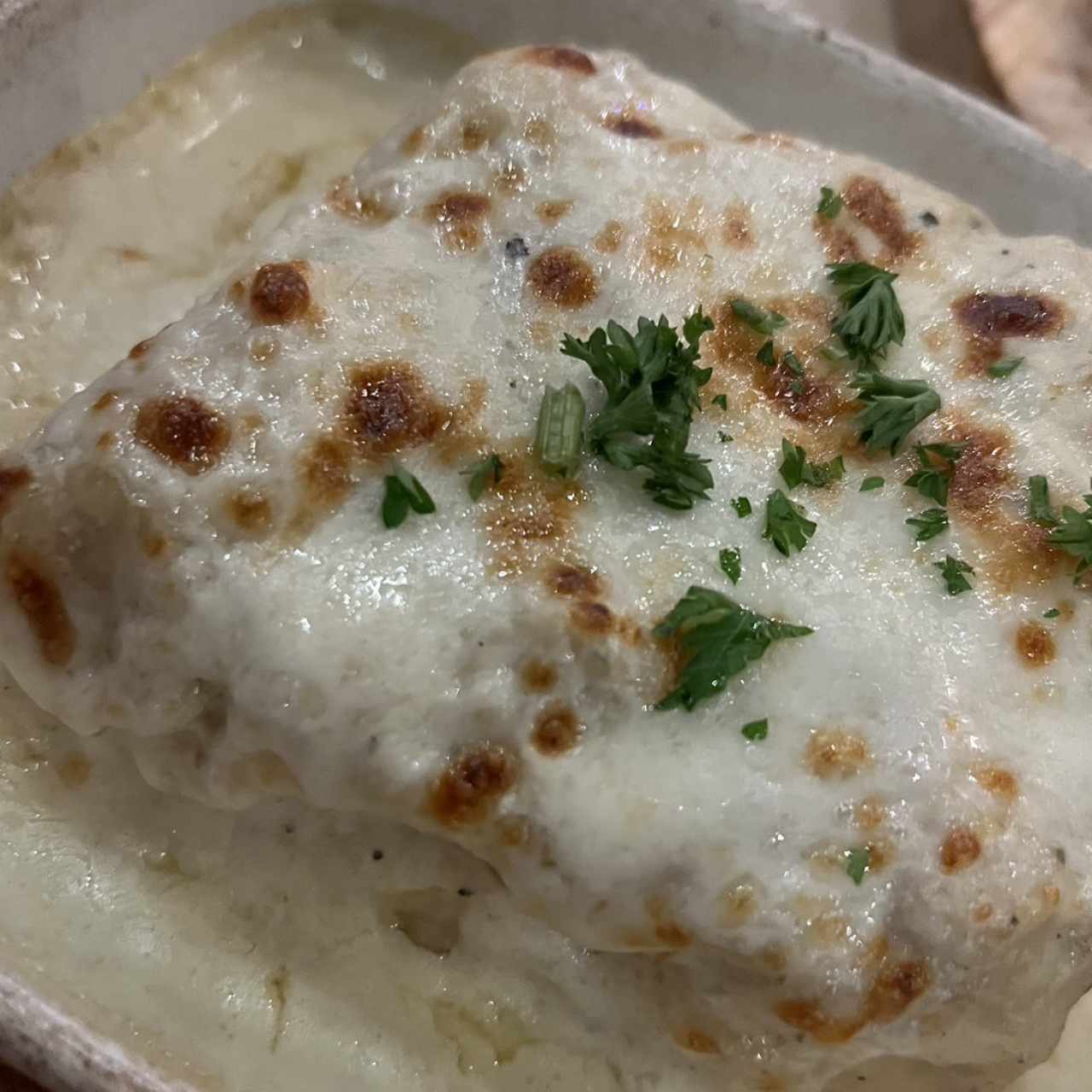 Lasagna gratinada de pollo 