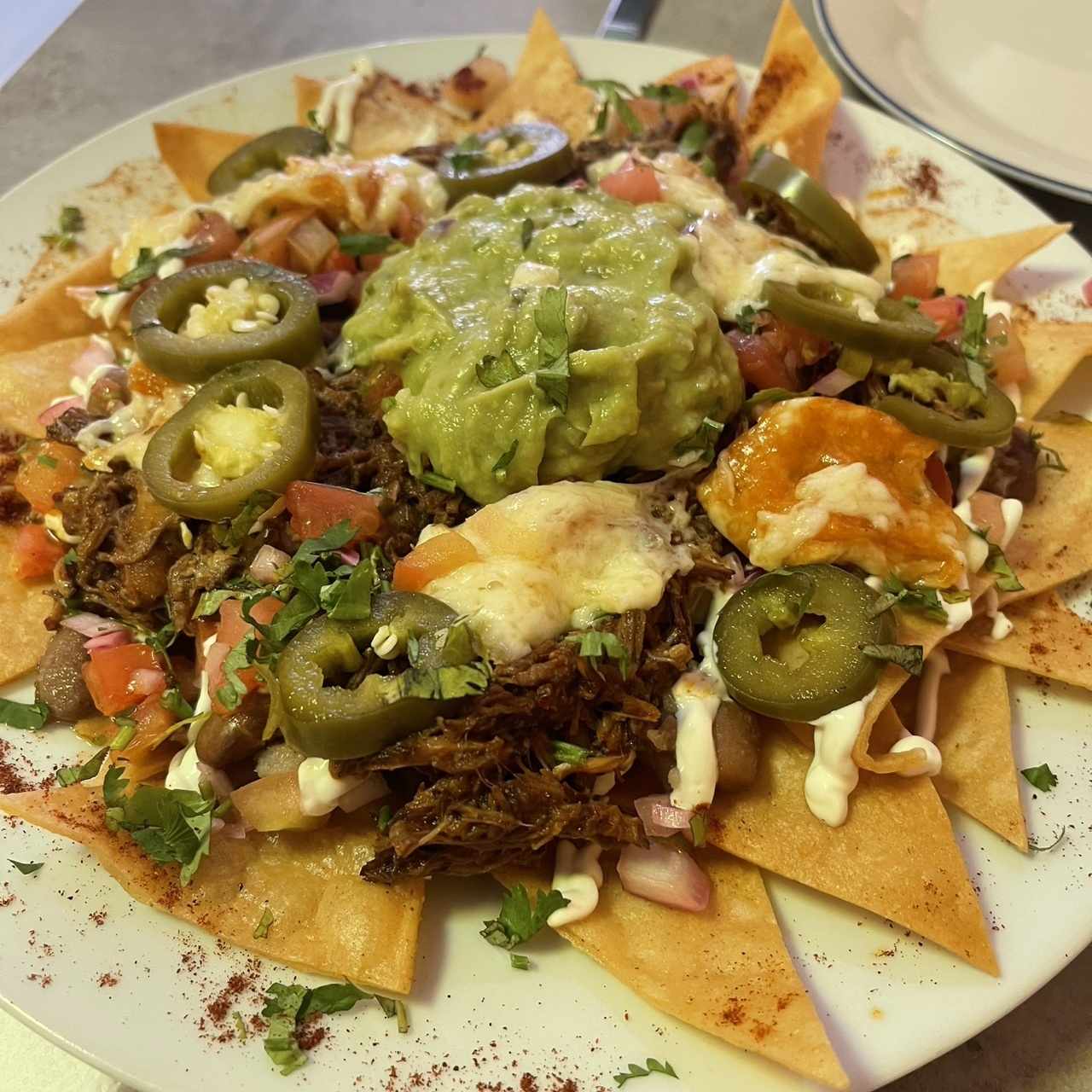 Nachos de birria