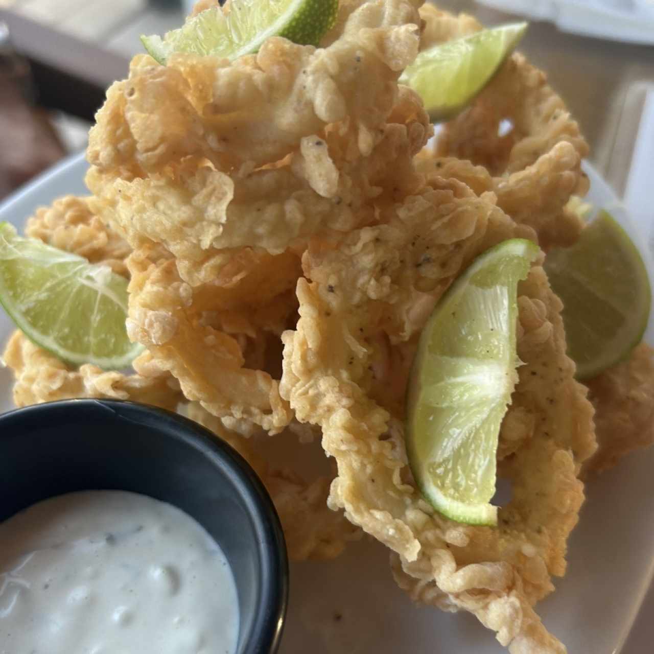 Calamares apanados