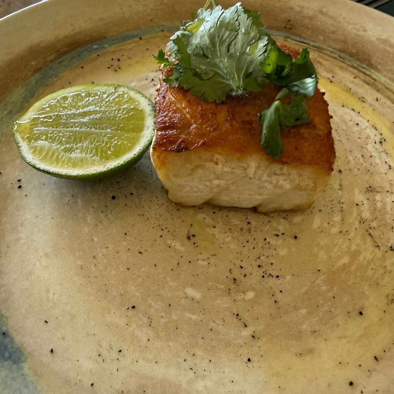 Plato Fuerte - Pesca del Día