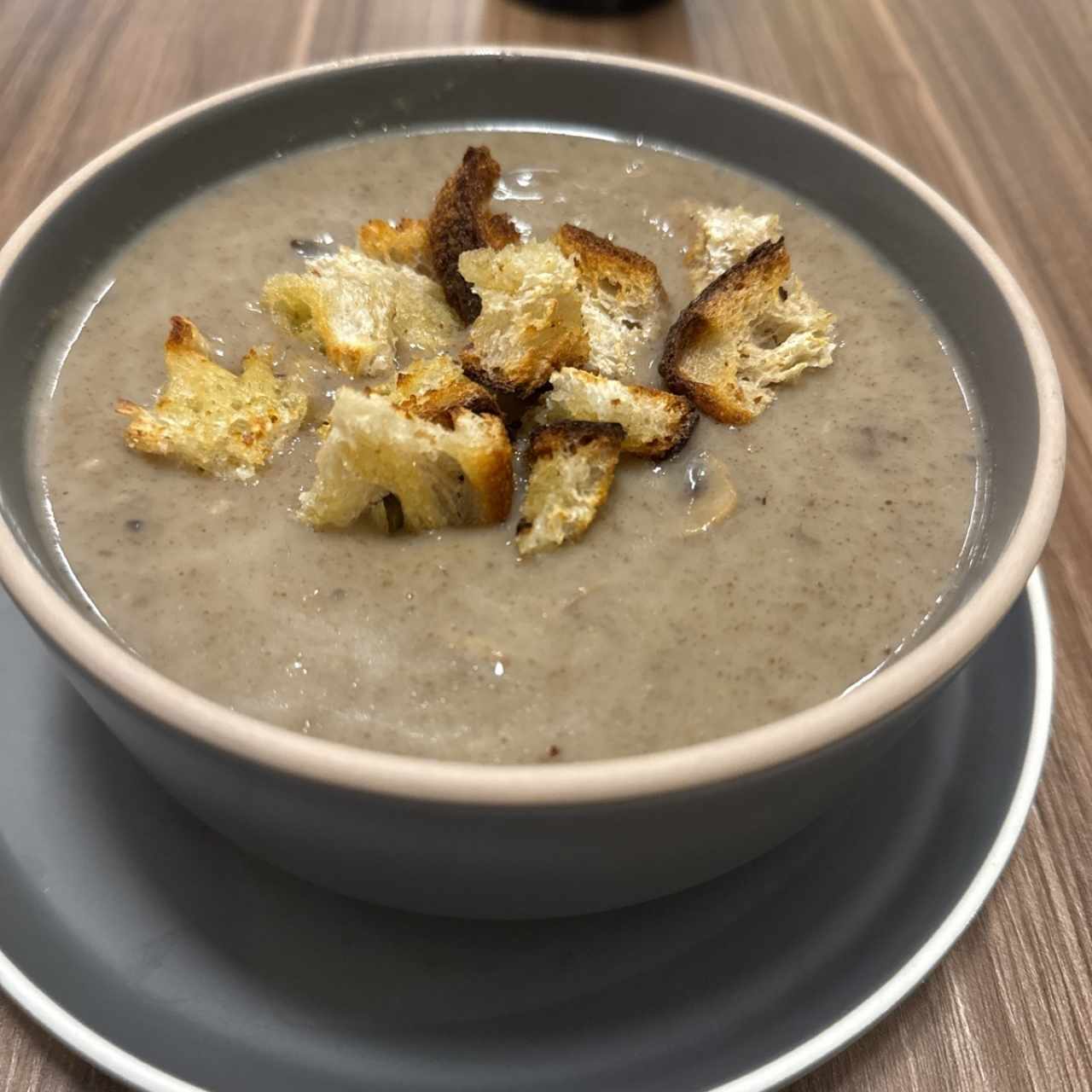 Sopa del dia - Crema de Champiñones 