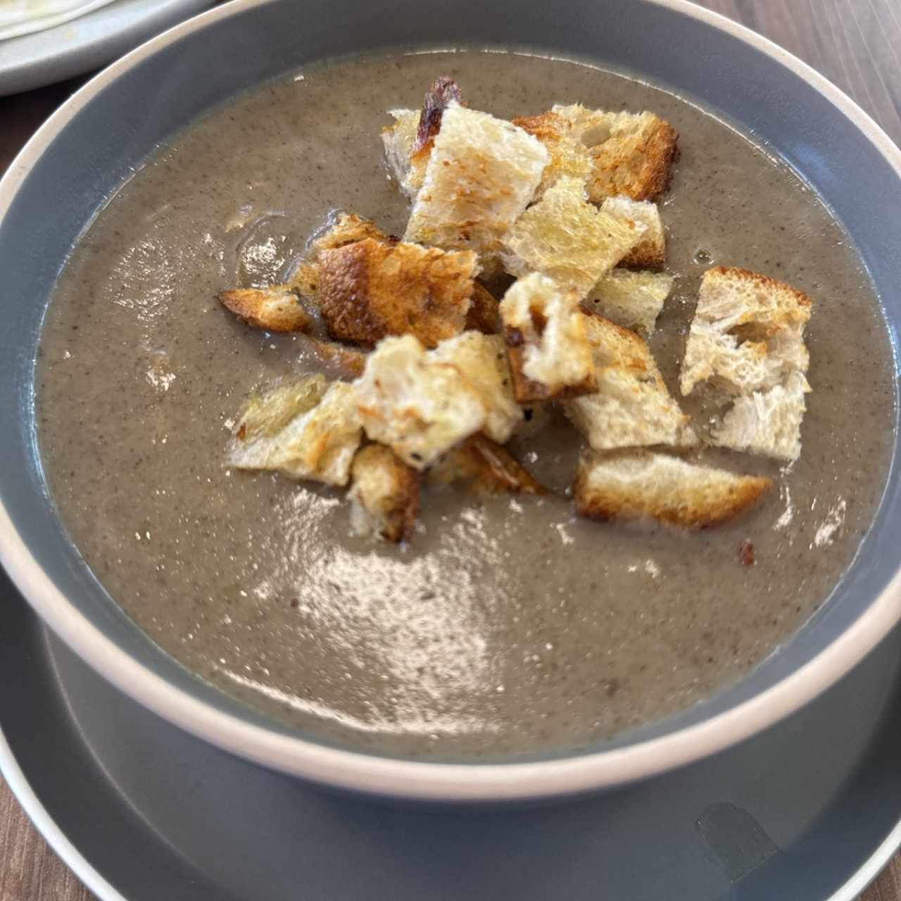 Sopa del dia - Crema de Hongos 