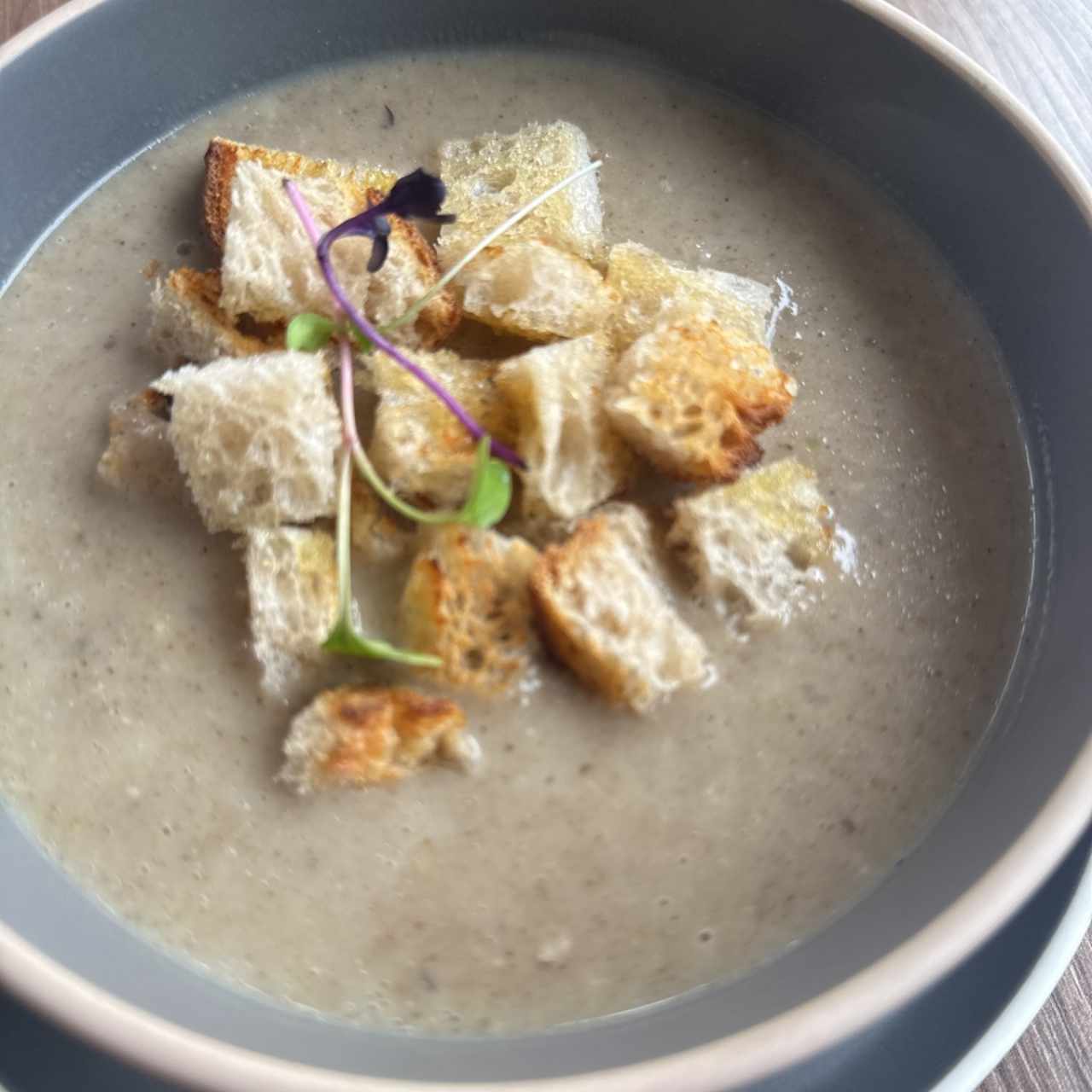 Sopa del Dia - Crema de Champiñones 