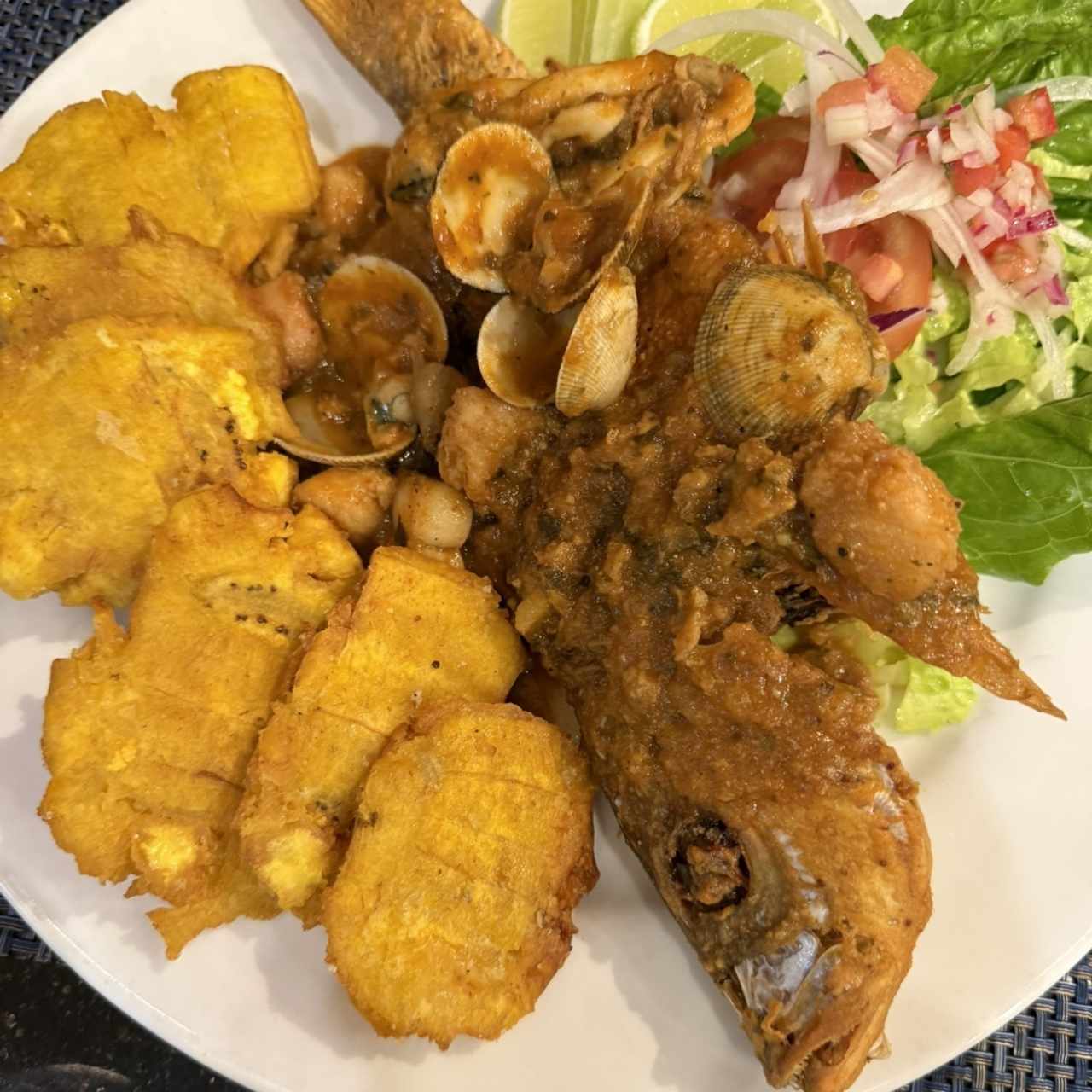 Pargo Portobelo