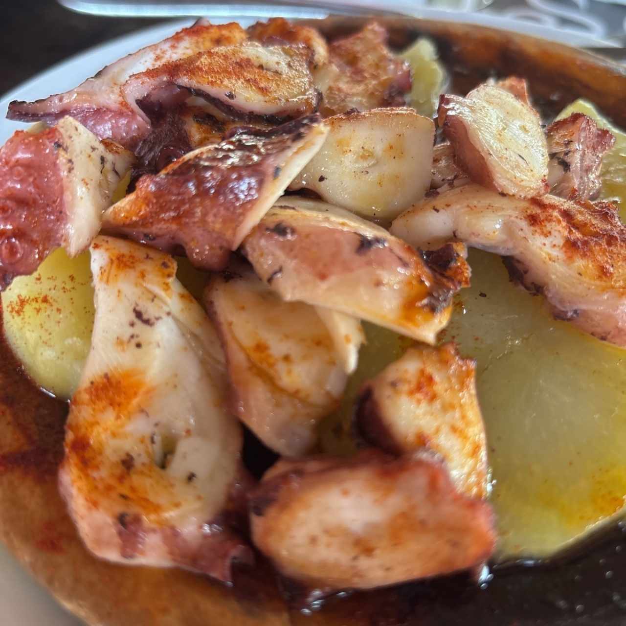 Pulpo a la plancha/ Ajillo / Gallega