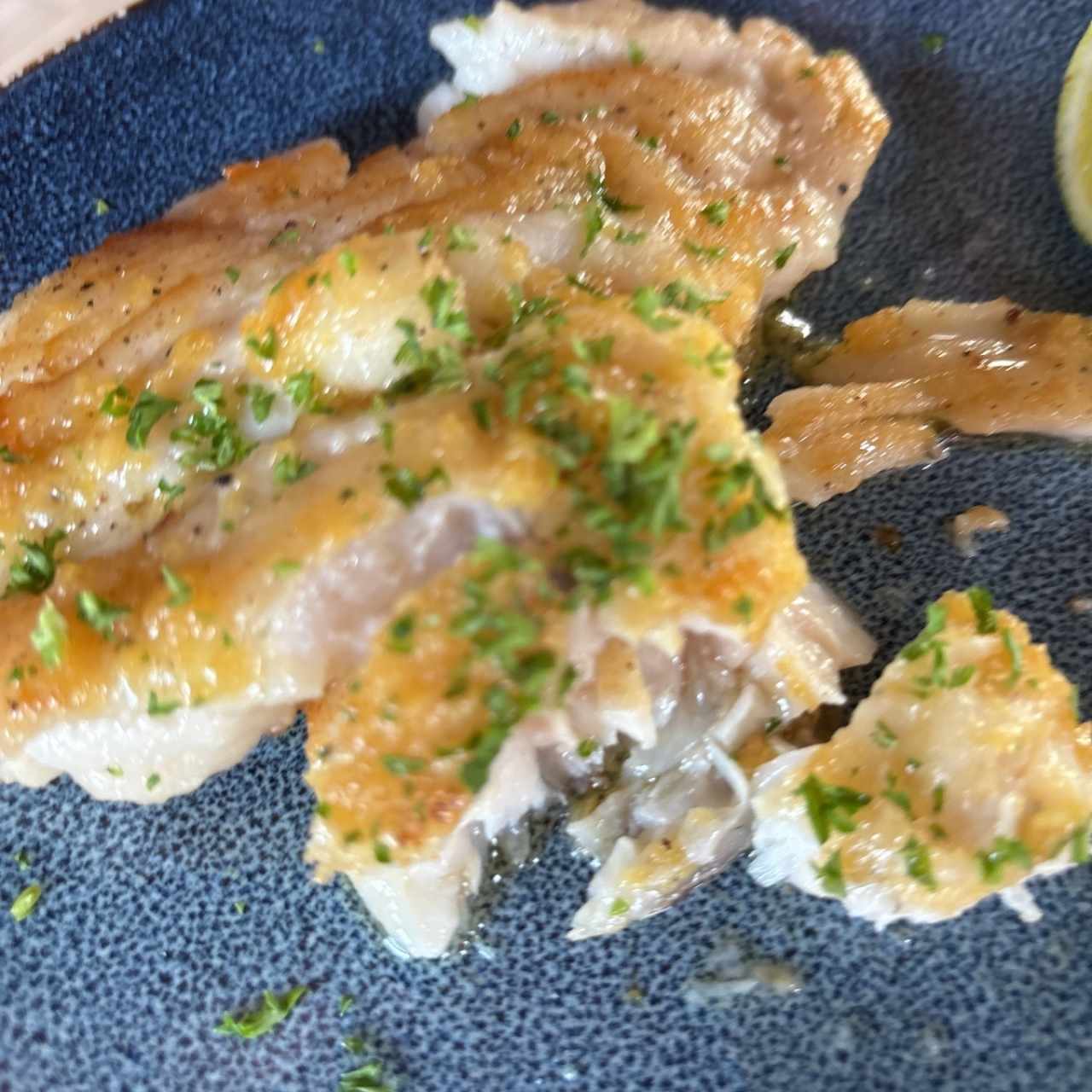 Mero a la plancha / Ajillo / Finas Hiervas / limón / Criolla