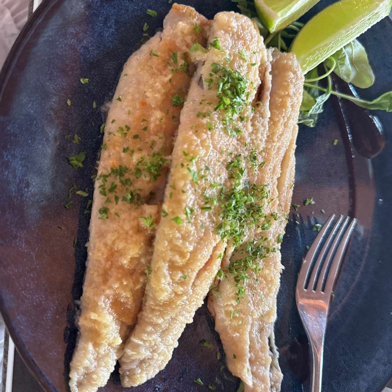Corvina al Criolla / Ajillo / Finas Hiervas